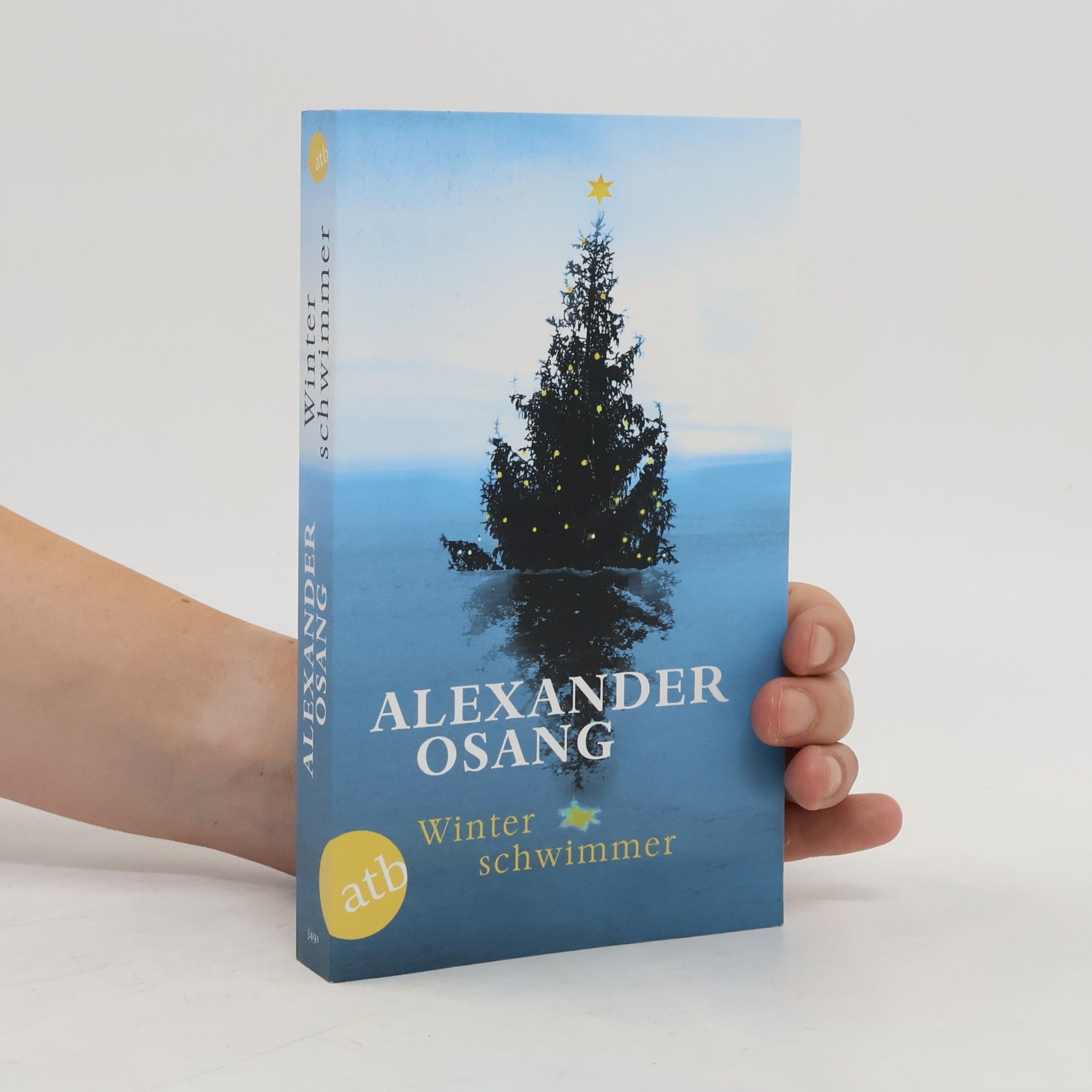 Alexander Osang Winterschwimmer