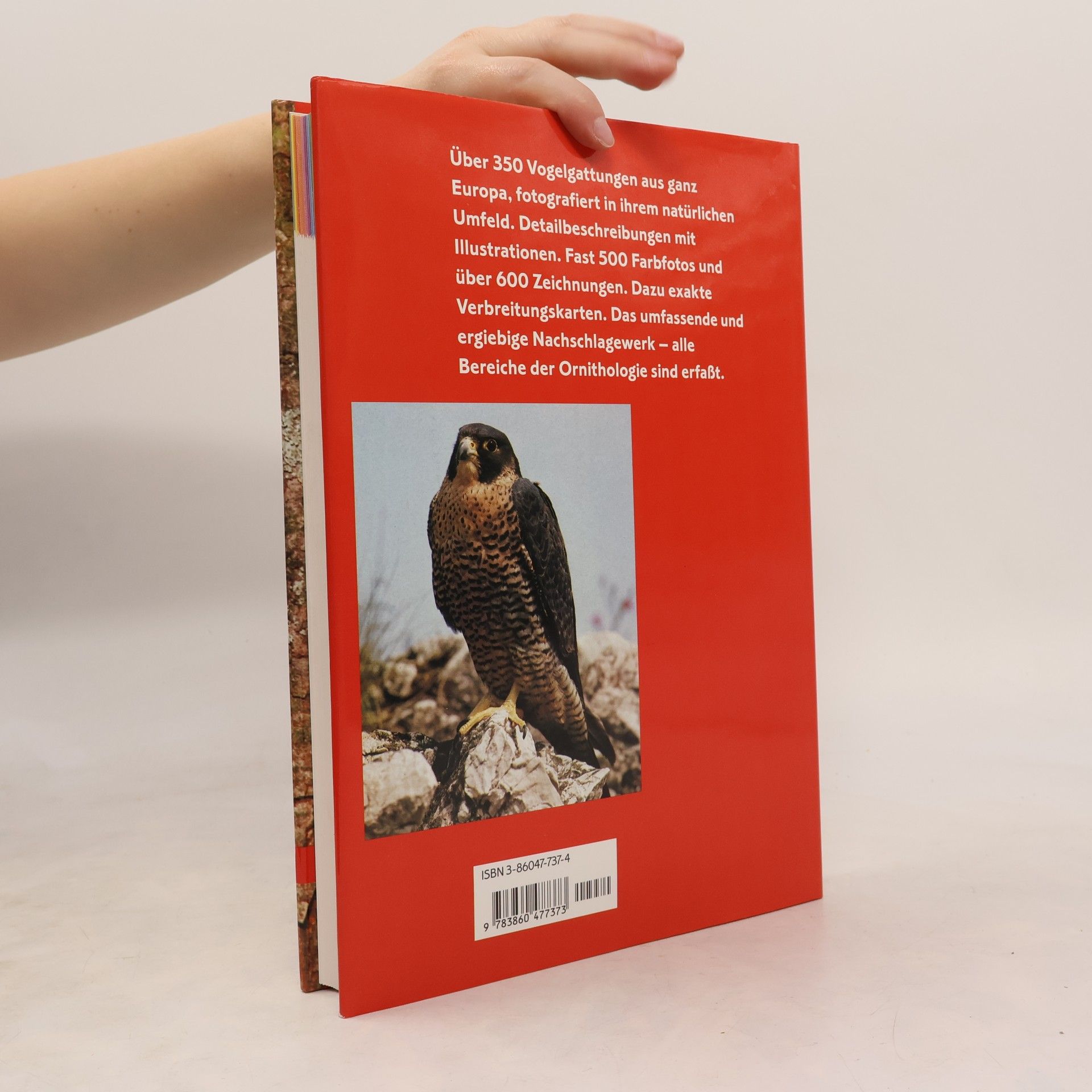 Karel Šťastný Vögel. Handbuch und Führer der Vögel Europas