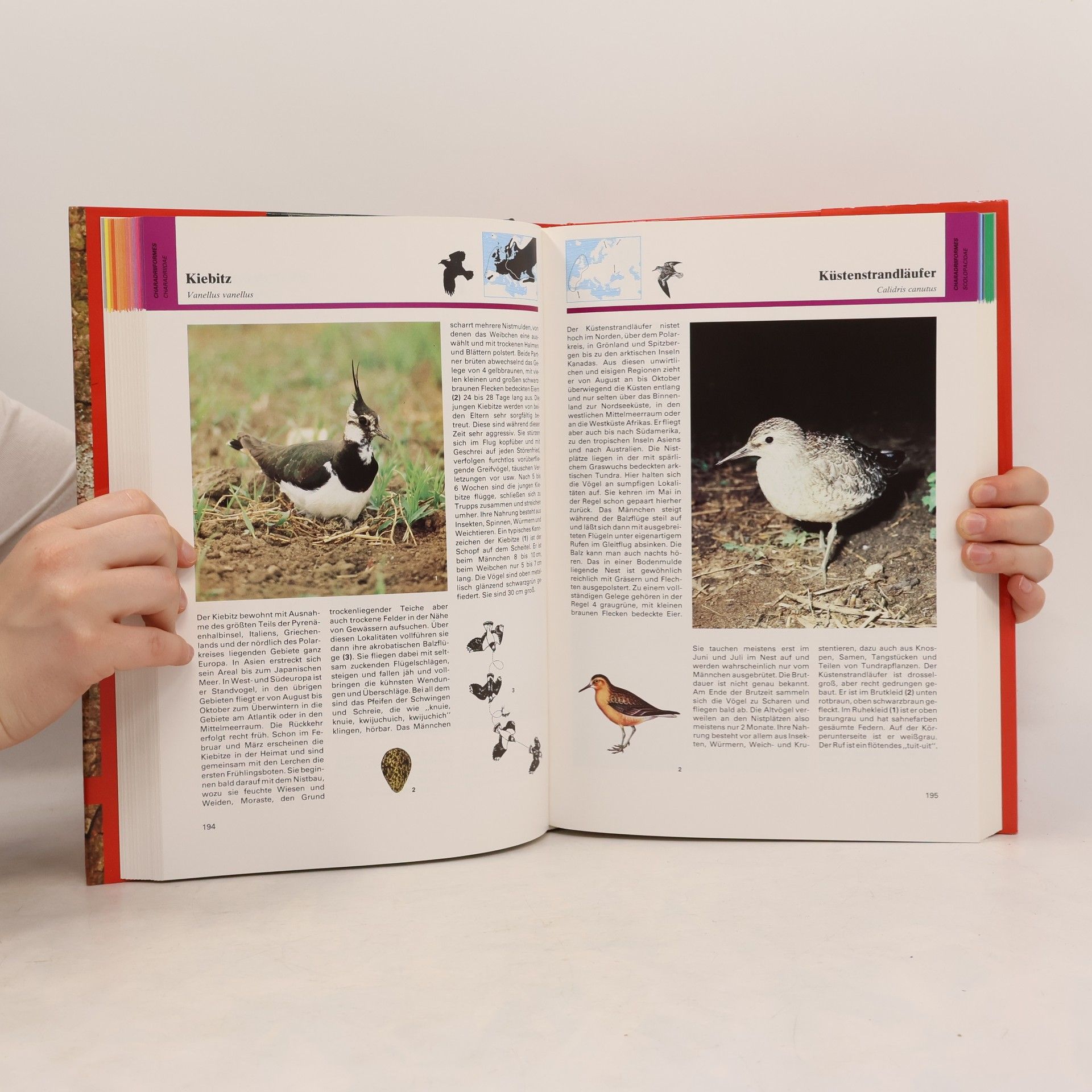 Karel Šťastný Vögel. Handbuch und Führer der Vögel Europas
