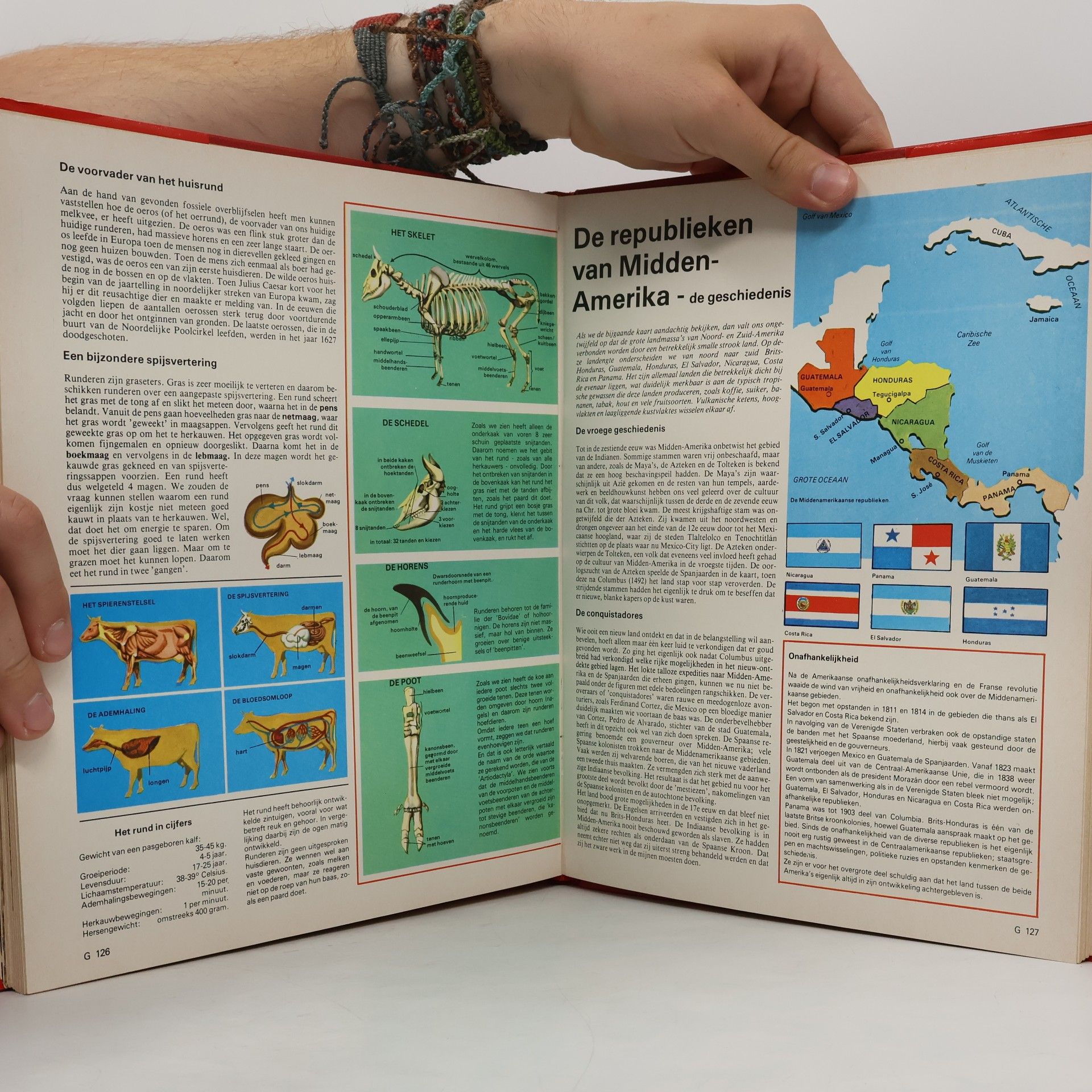 Autorenkollektiv Wereld in Oorlog