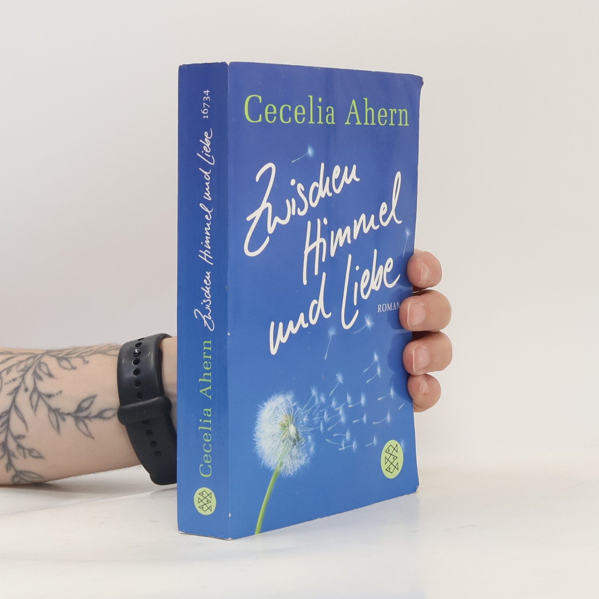 Cecelia Ahern Zwischen Himmel und Liebe
