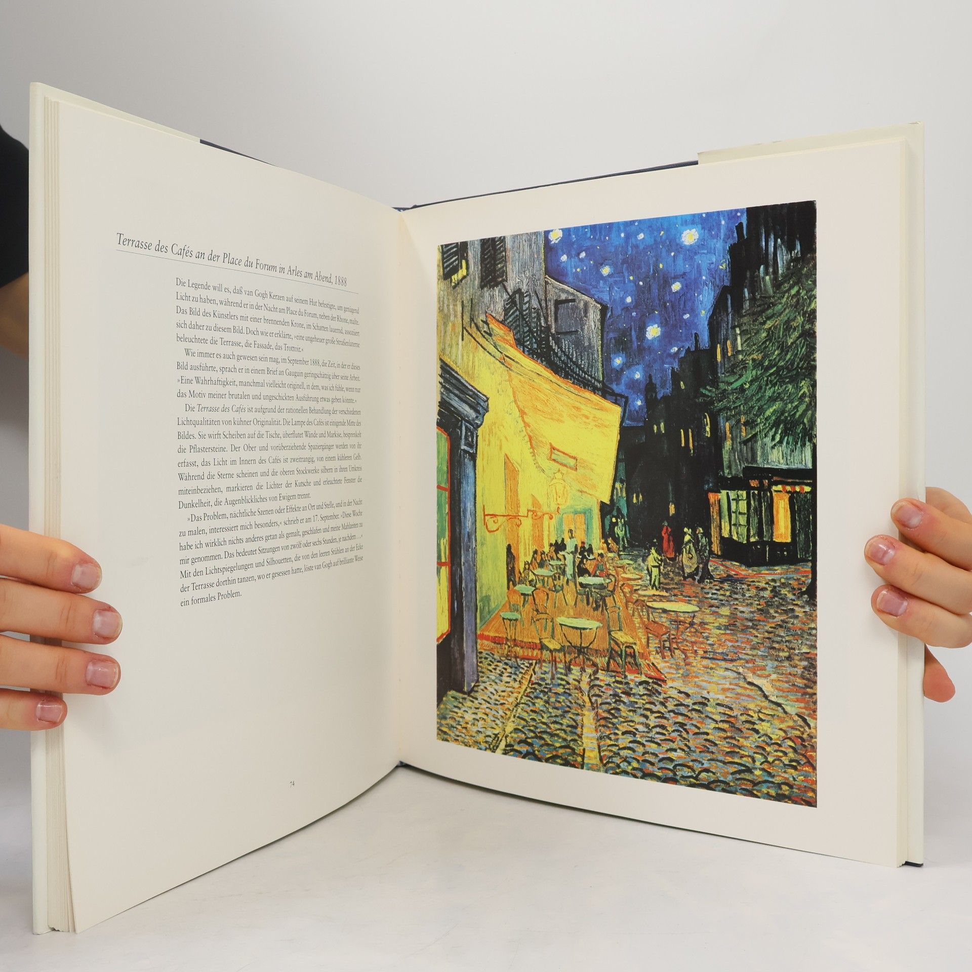 William Feaver Van Gogh. Die Meisterwerke
