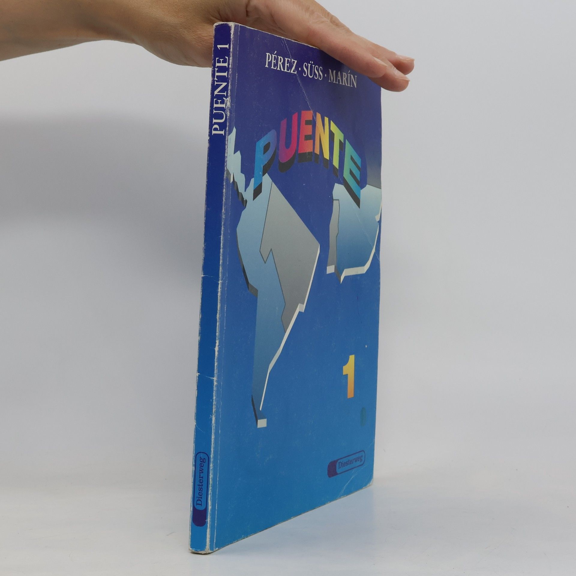 Autores varios Puente