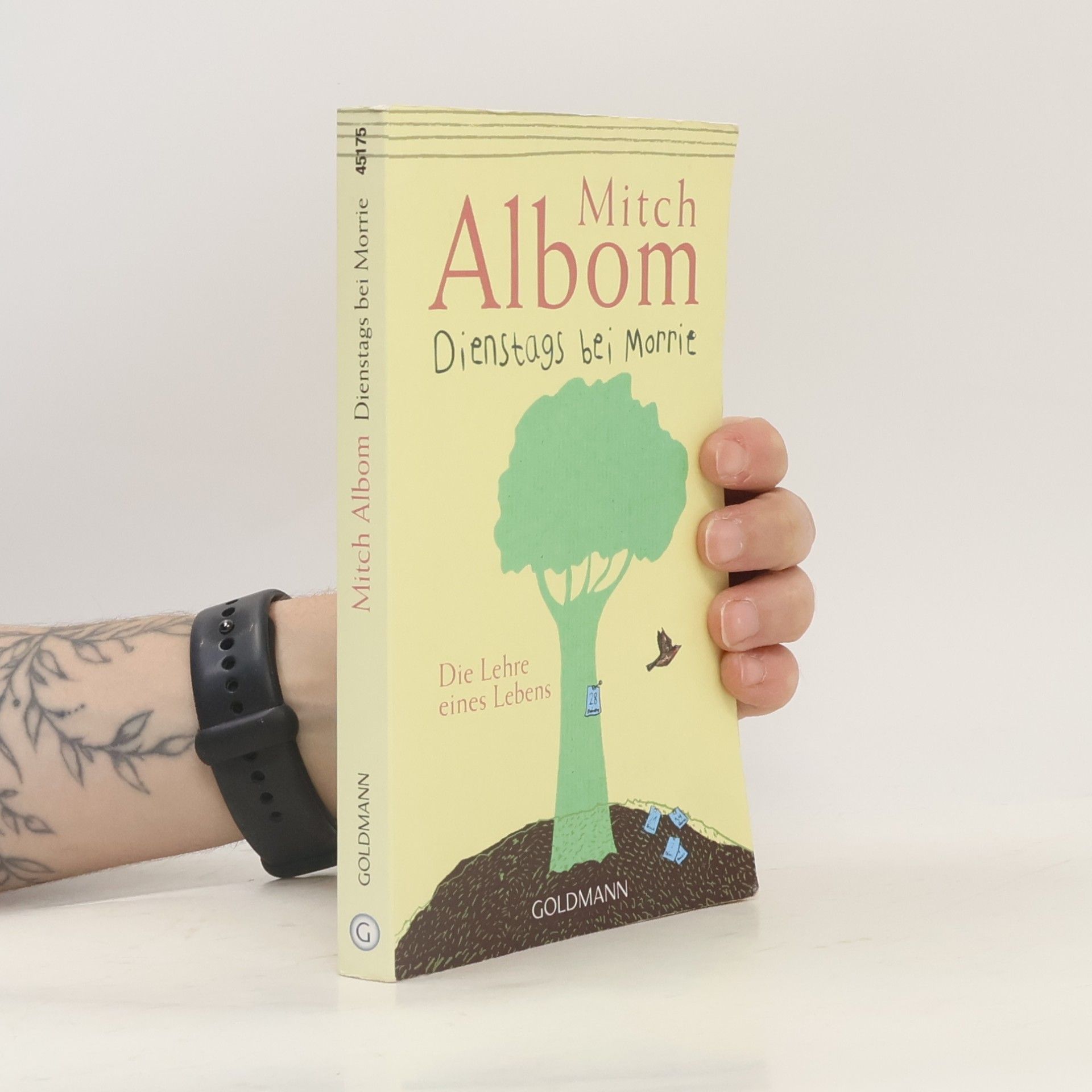 Mitch Albom Dienstags bei Morrie