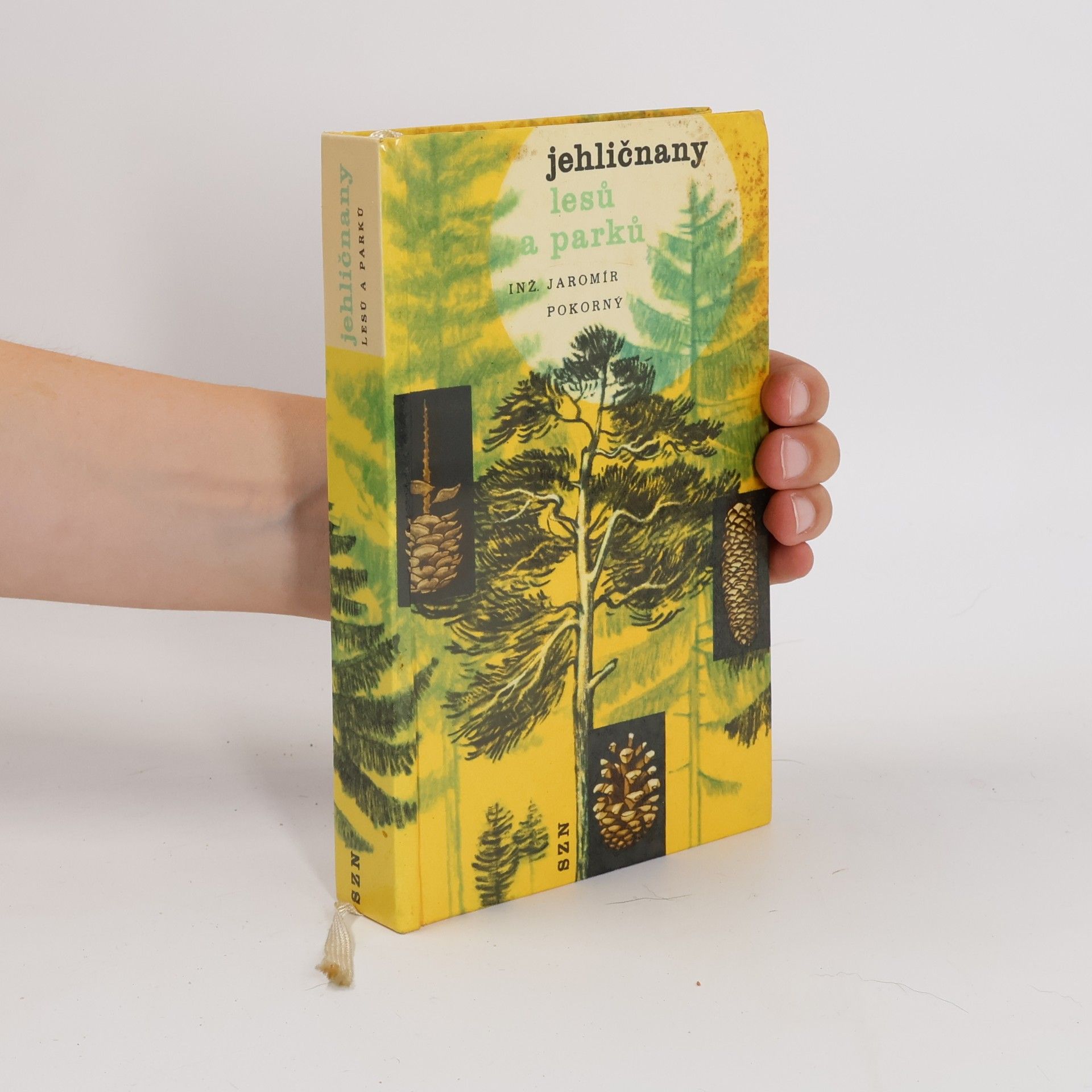 Jaromír Pokorný Jehličnany lesů a parků