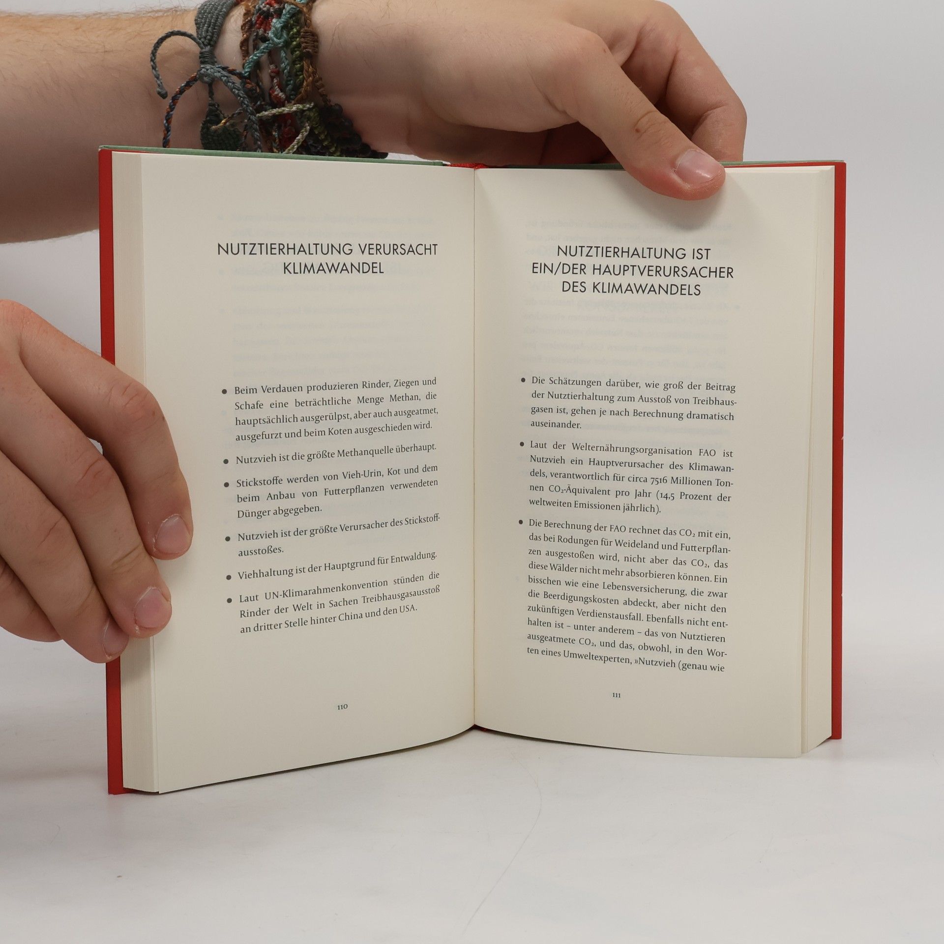 Jonathan Safran Foer Wir sind das Klima!