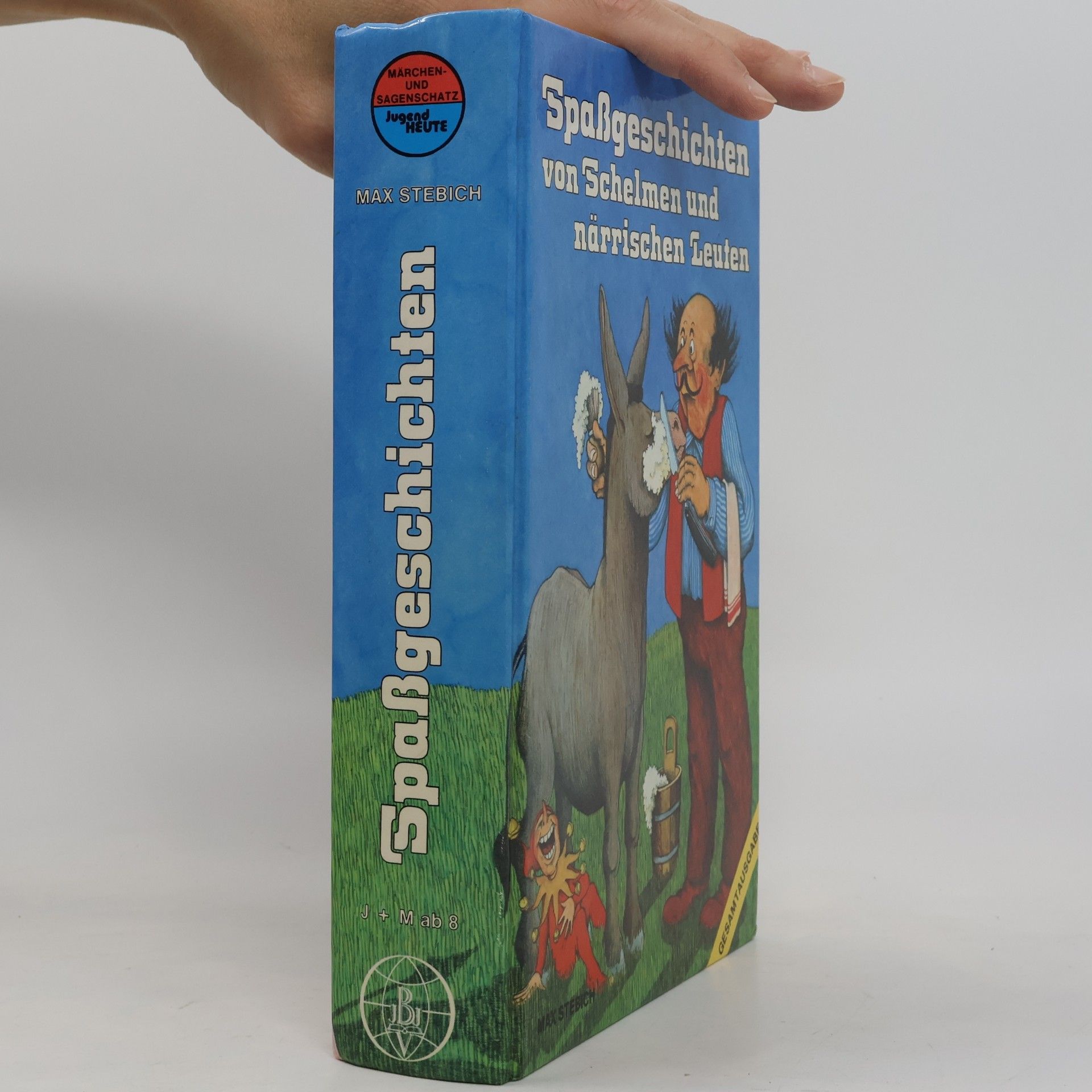 Max Stebich Spassgeschichten von Schelmen und närrischen Leuten