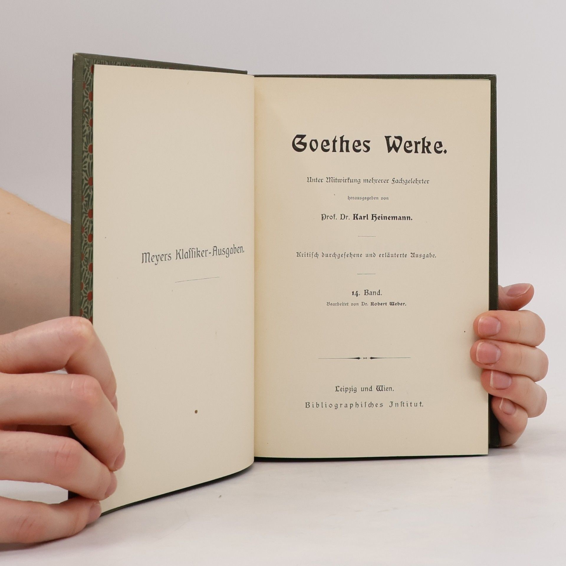 Johann Wolfgang von Goethe Goethes Werke 14