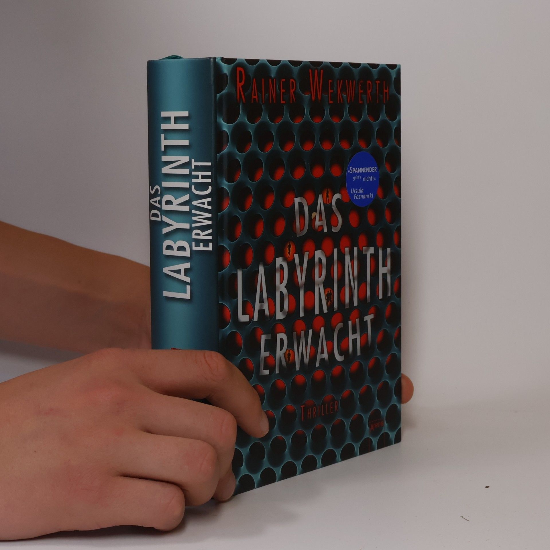 Rainer Wekwerth Das Labyrinth erwacht
