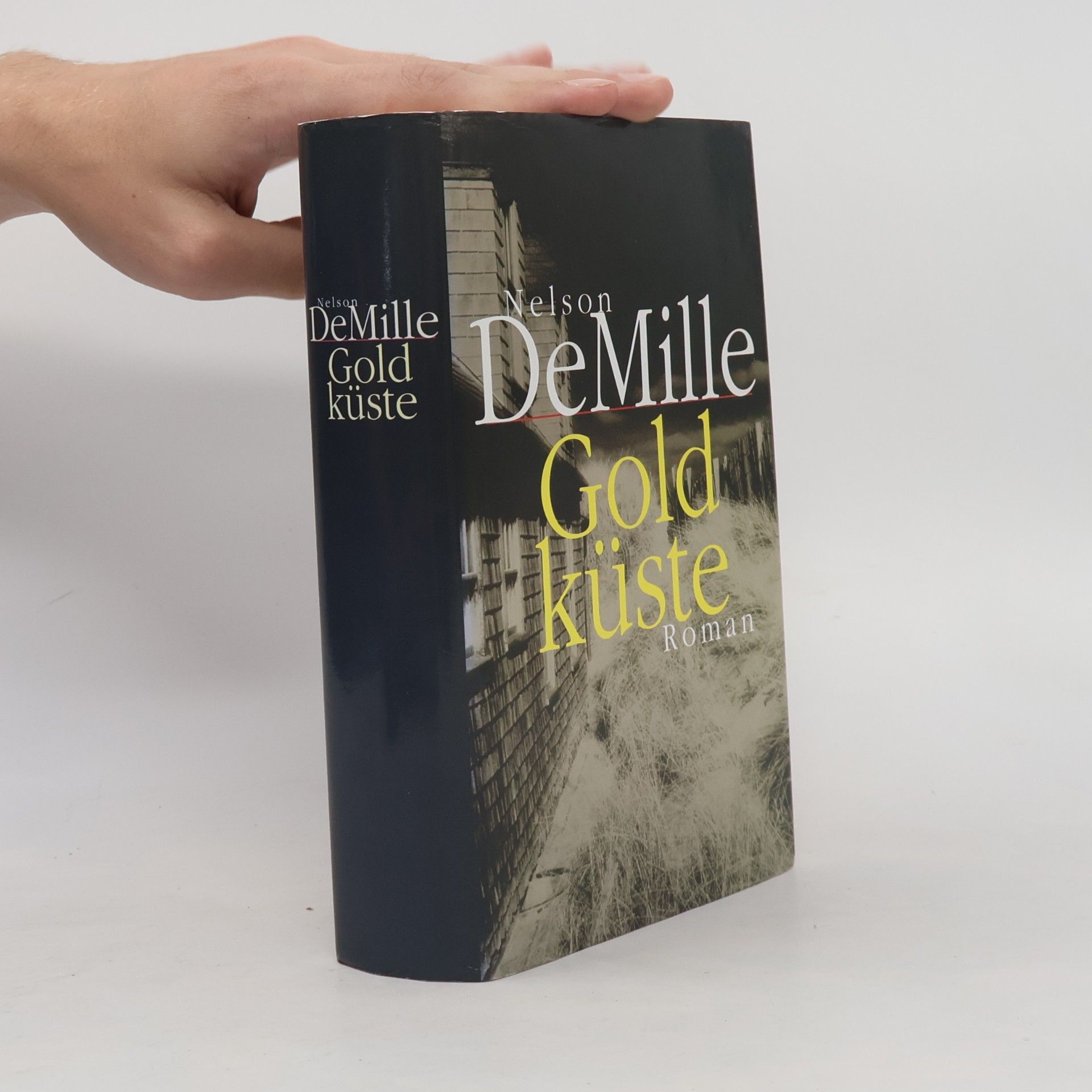 Nelson DeMille Goldküste