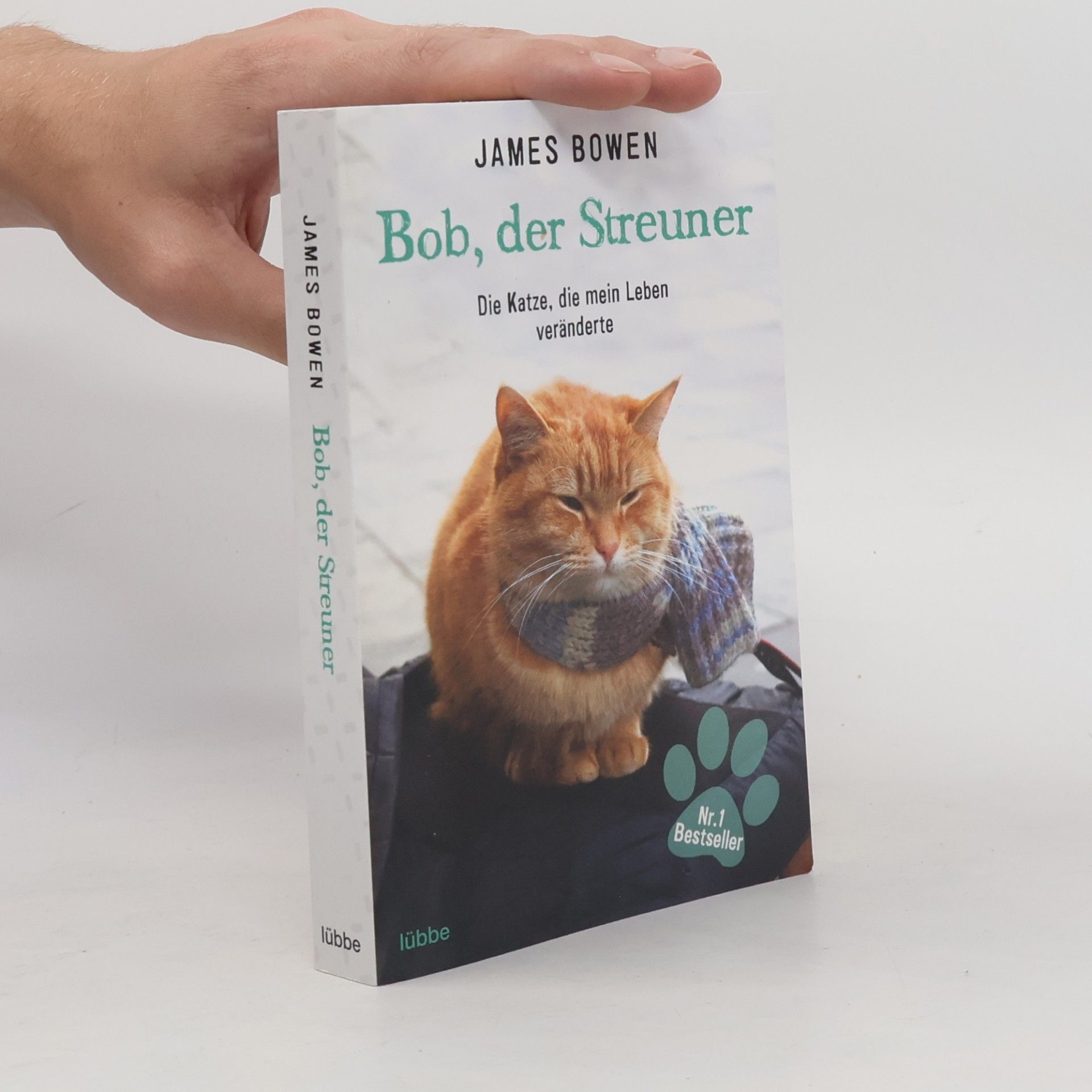 James Bowen Bob, der Streuner