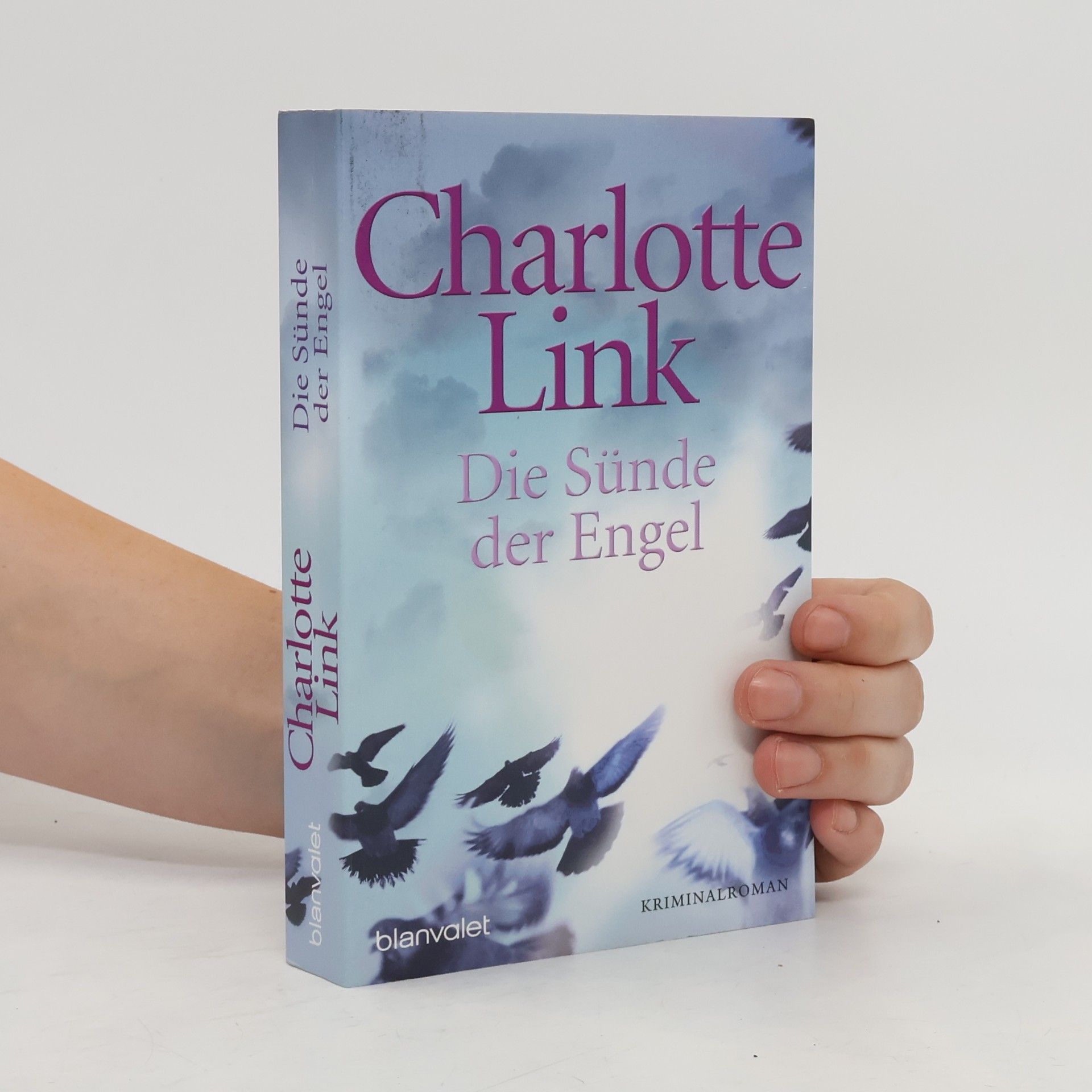 Charlotte Link Die Sünde der Engel