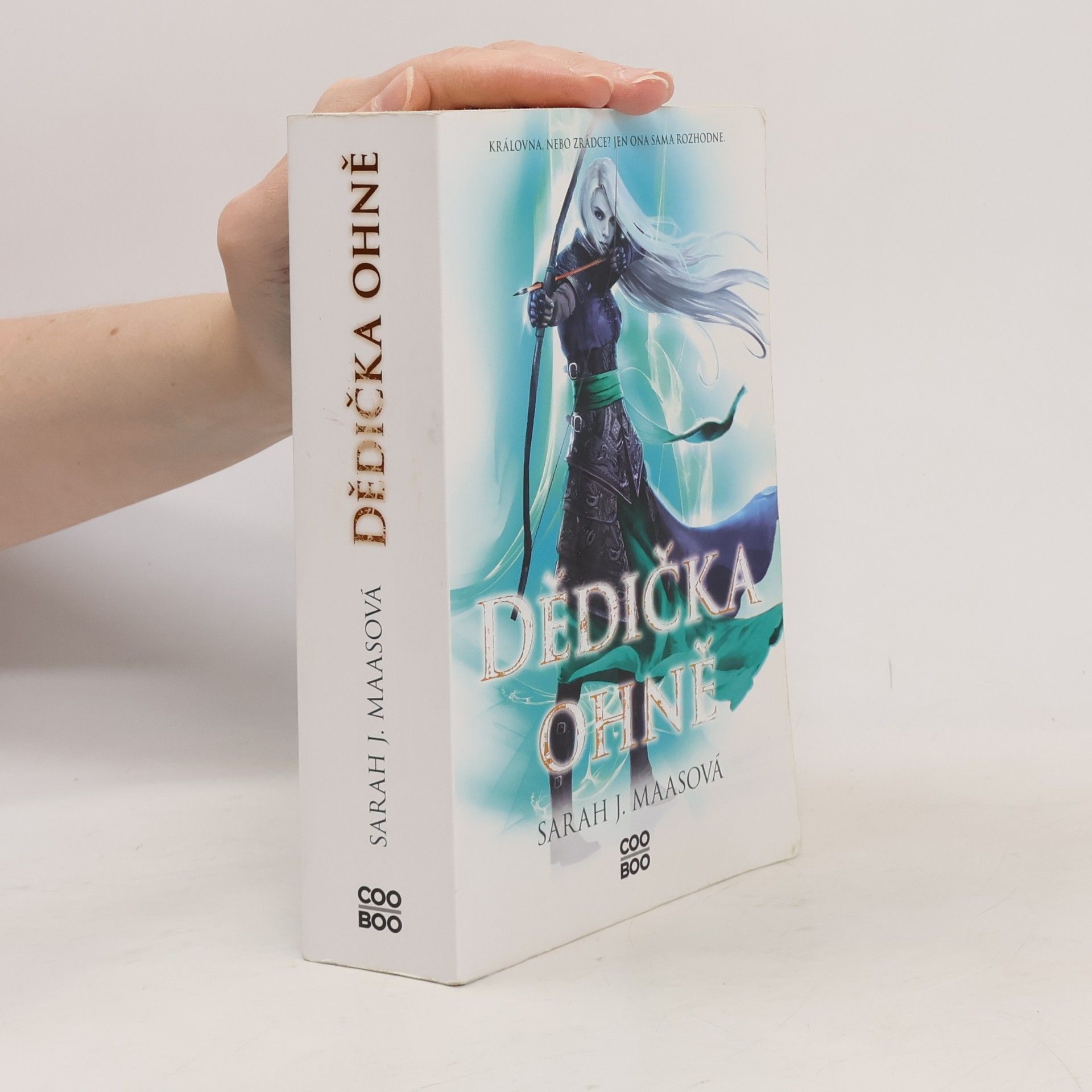 Sarah J. Maas Dědička ohně
