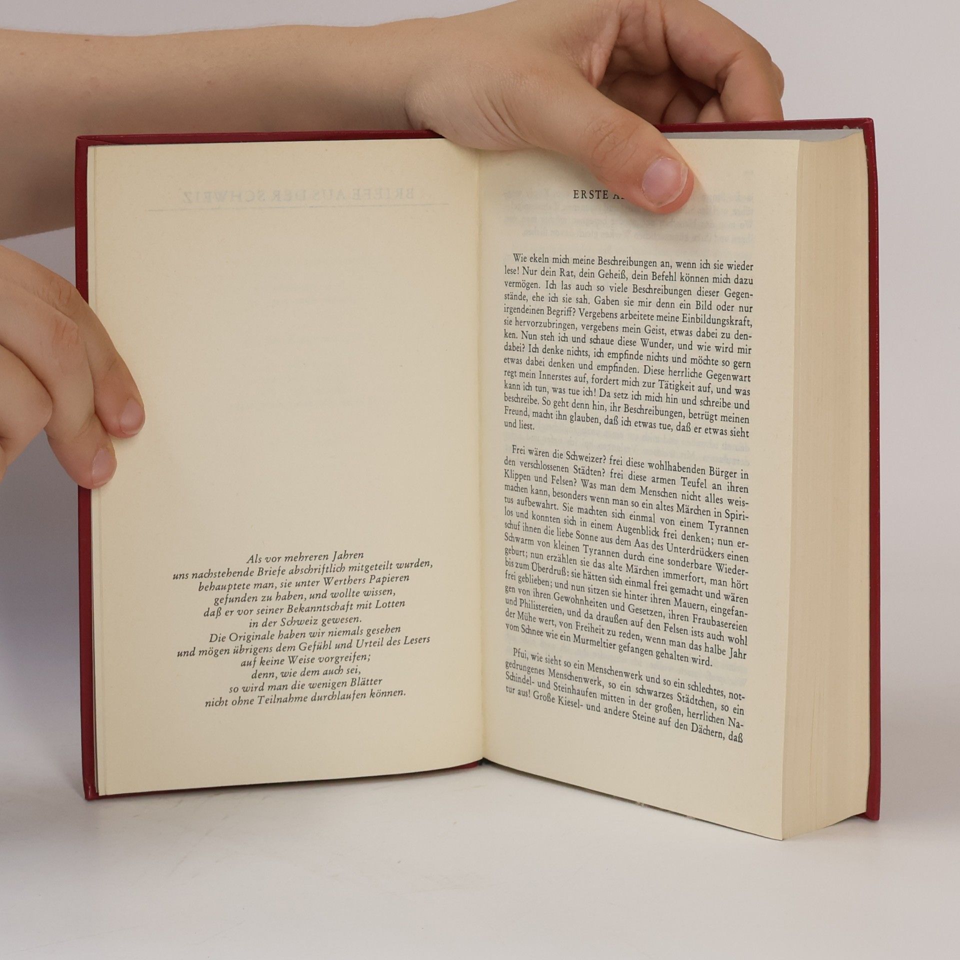 Johann Wolfgang von Goethe Werke 7