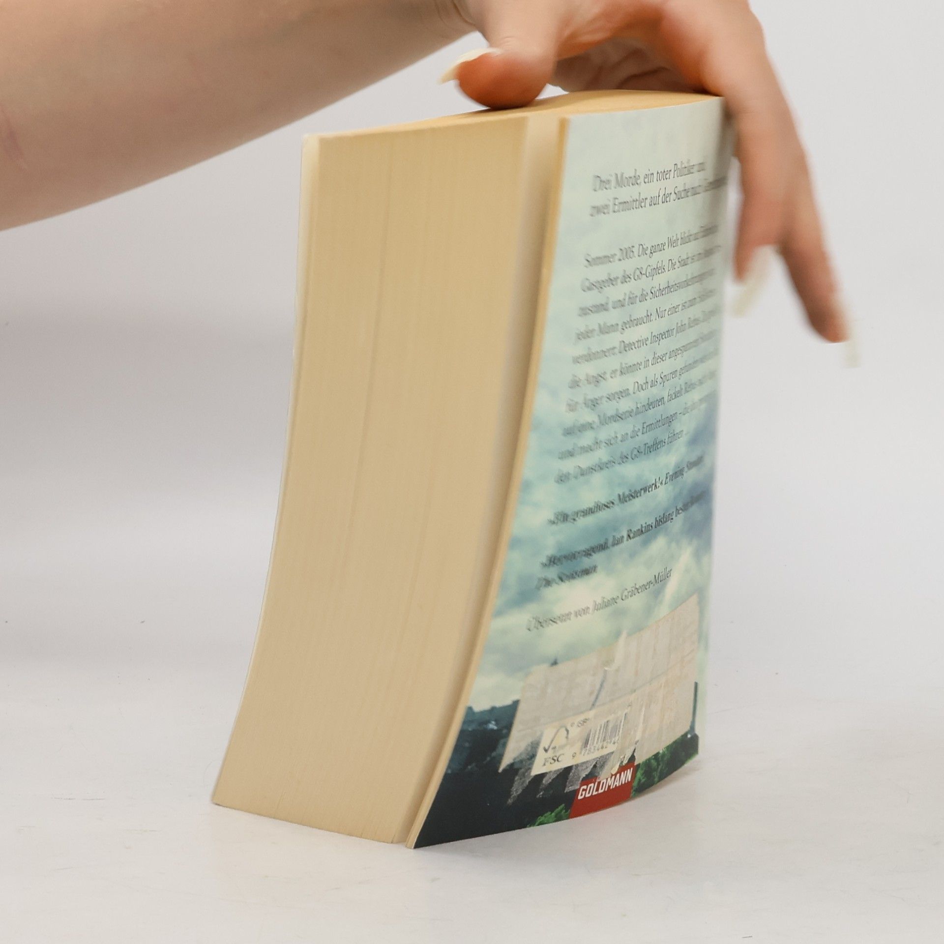 Ian Rankin Im Namen der Toten