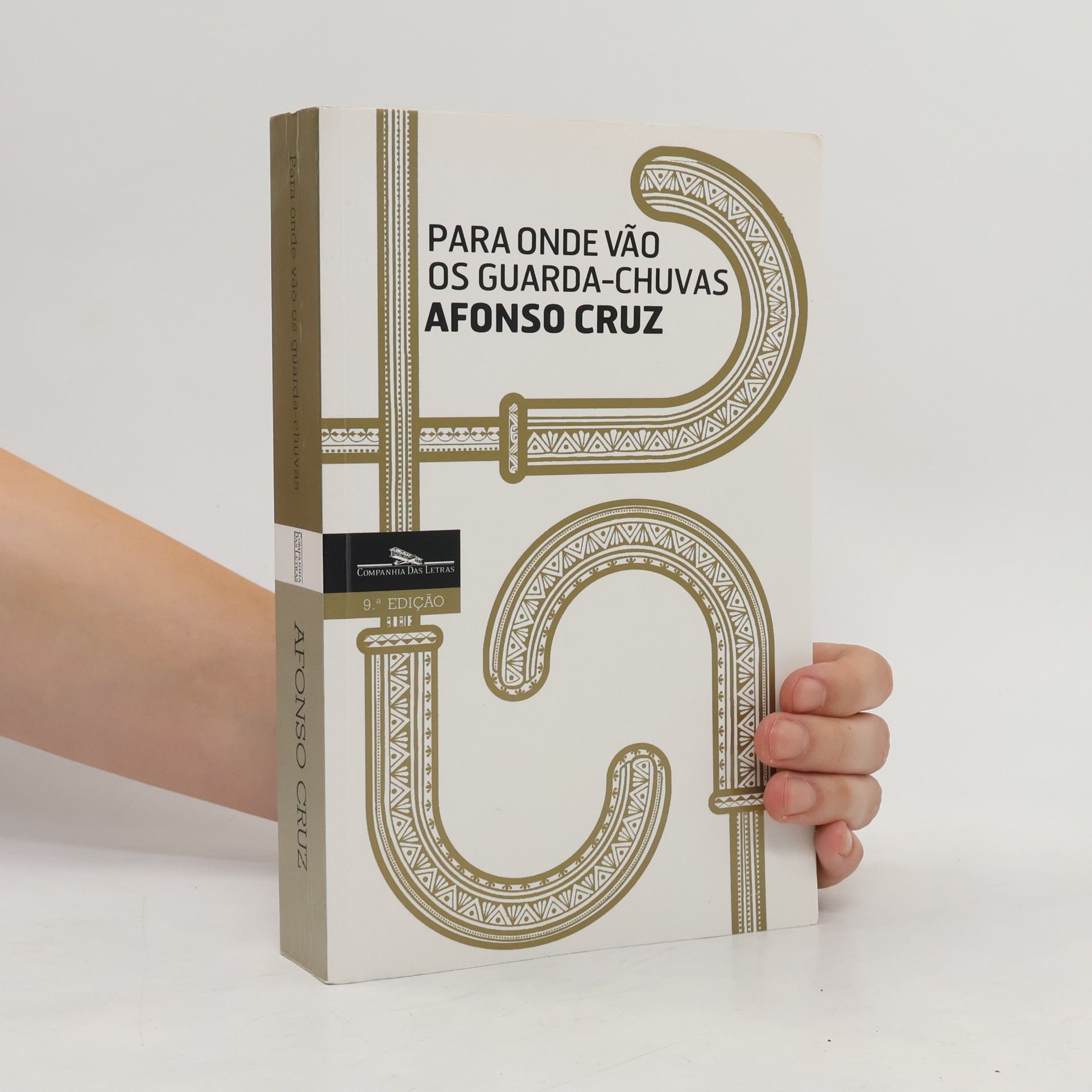 Afonso Cruz Para onde vão os guarda-chuvas