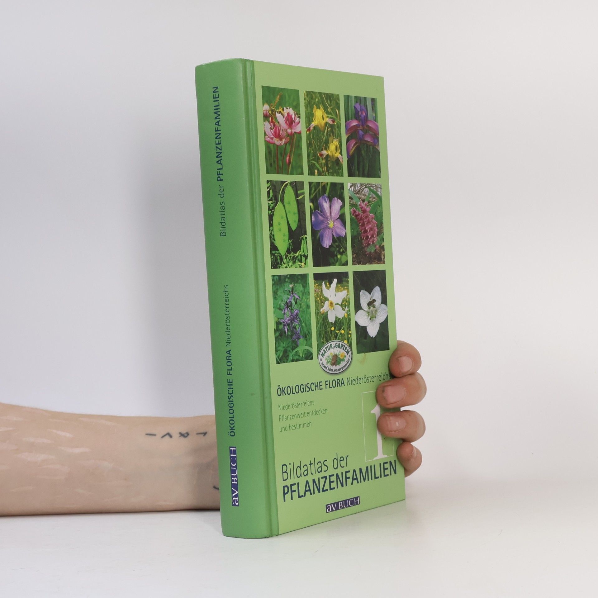 Autorenkollektiv Ökologische Flora, Niederösterreichs Wildpflanzen entdecken und bestimmen