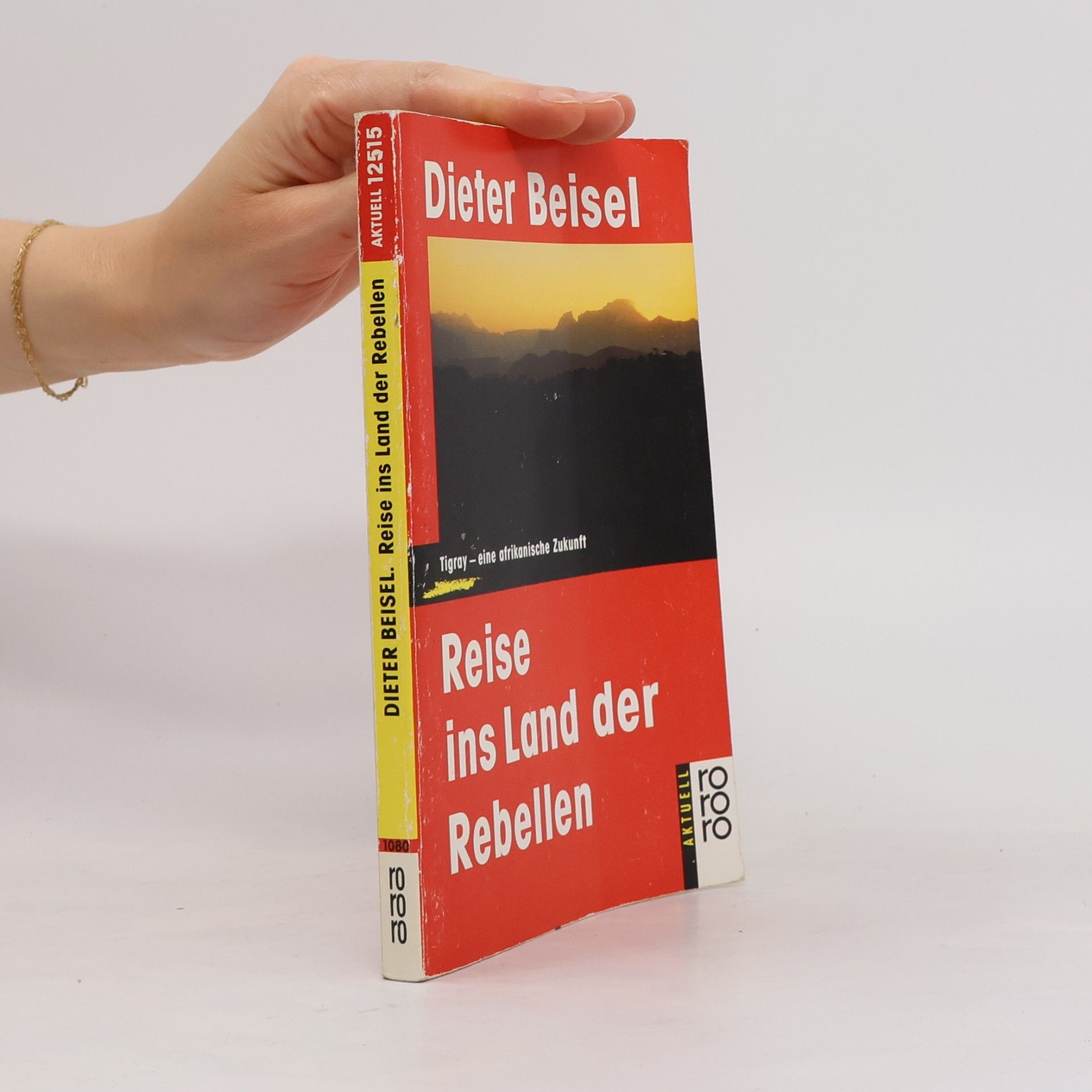 Dieter Beisel Rororo aktuell: Reise ins Land der Rebellen