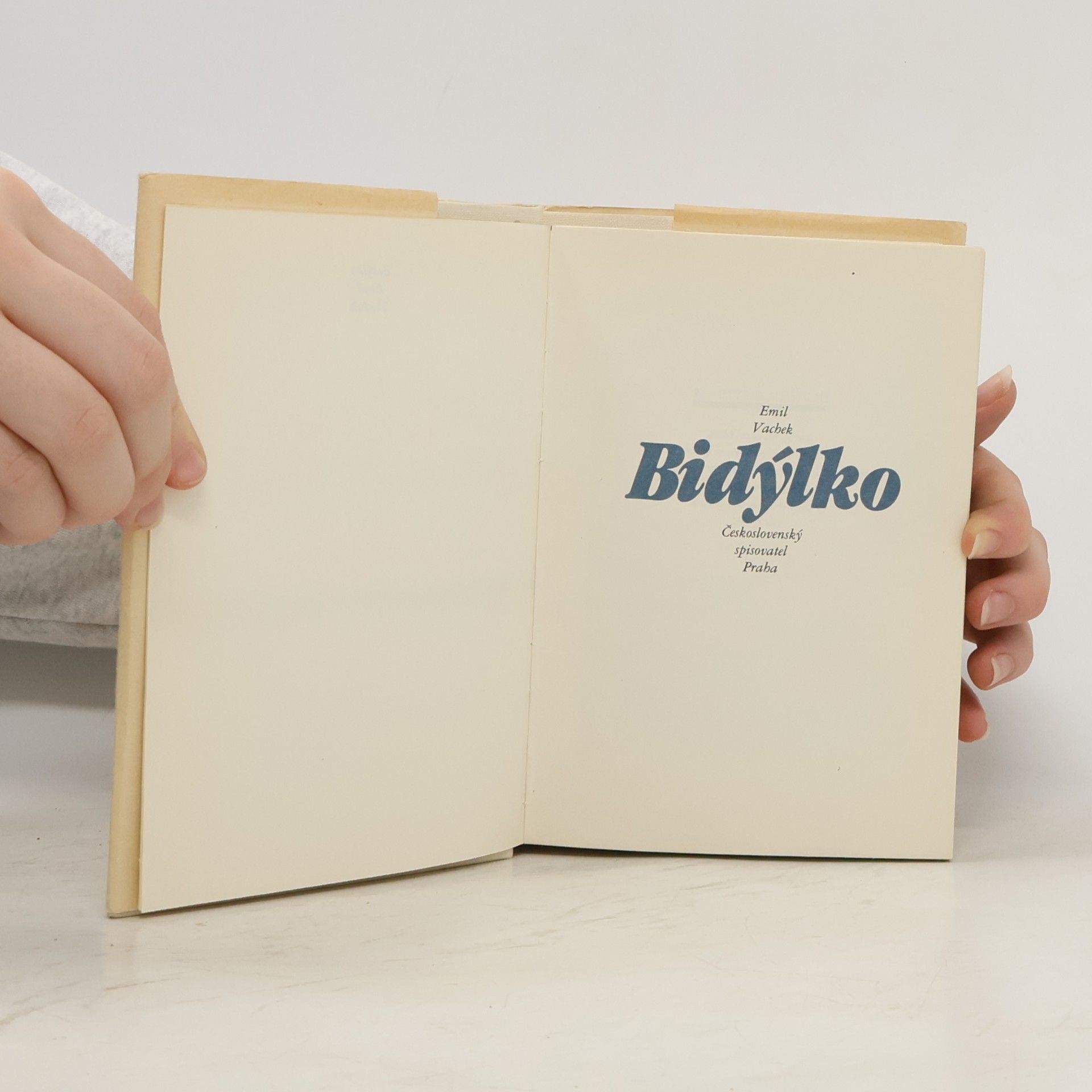 Franta Bidlo Bidýlko
