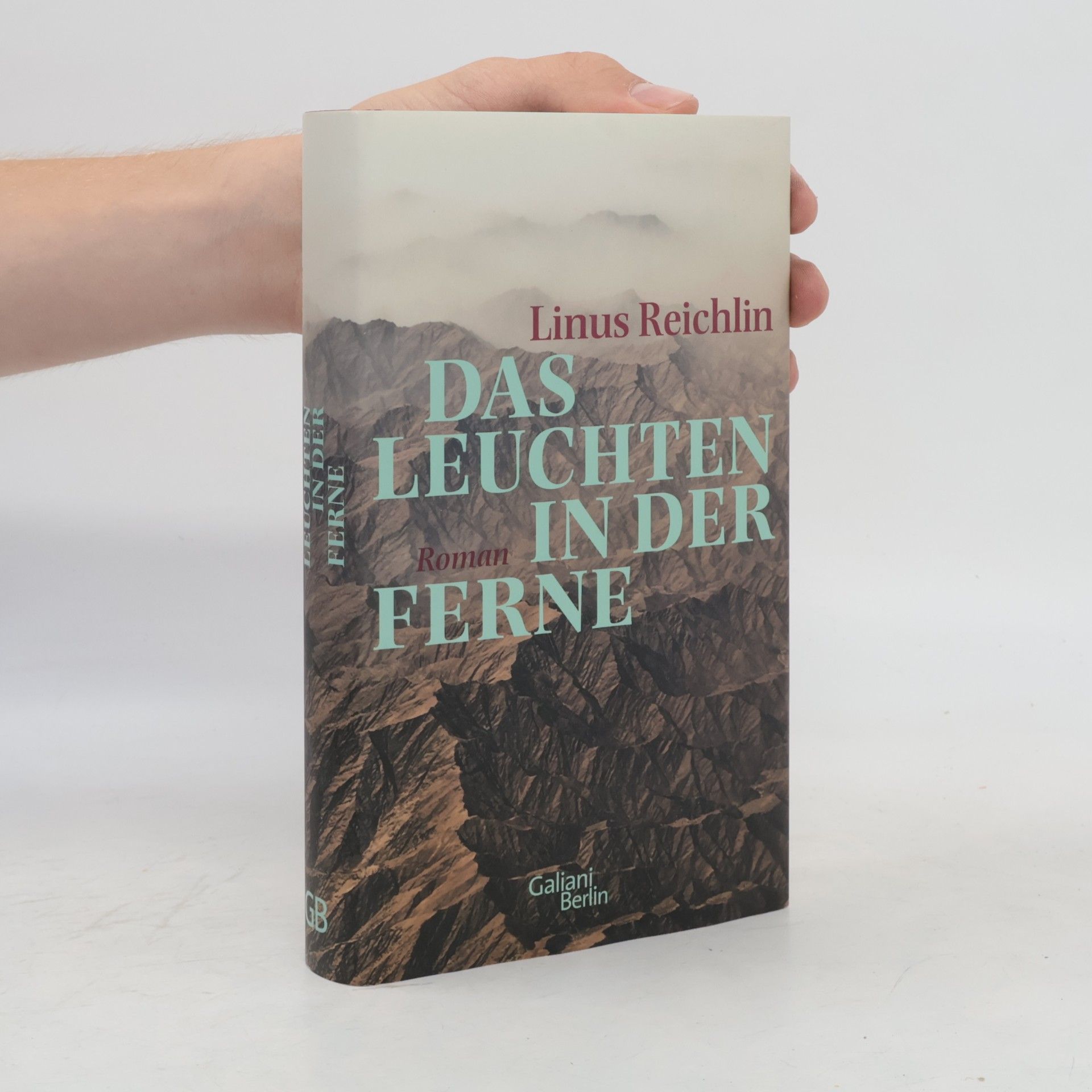 Linus Reichlin Das Leuchten in der Ferne