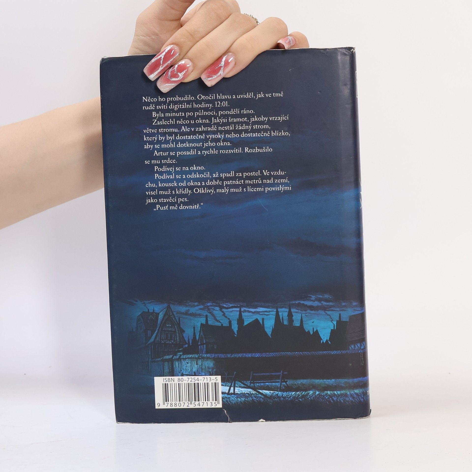 Garth Nix Pan Pondělí. Klíče od Království (kniha 1.)