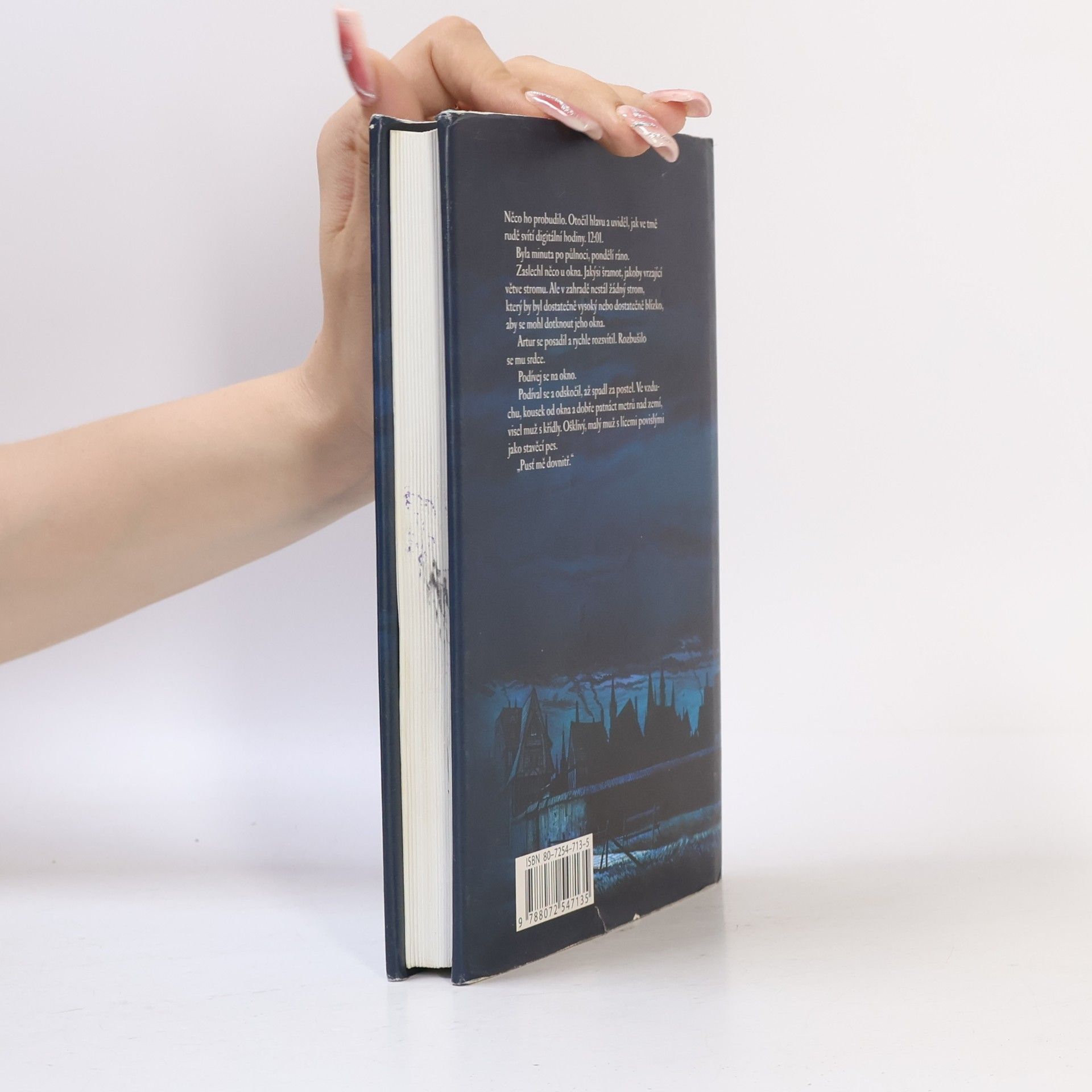 Garth Nix Pan Pondělí. Klíče od Království (kniha 1.)