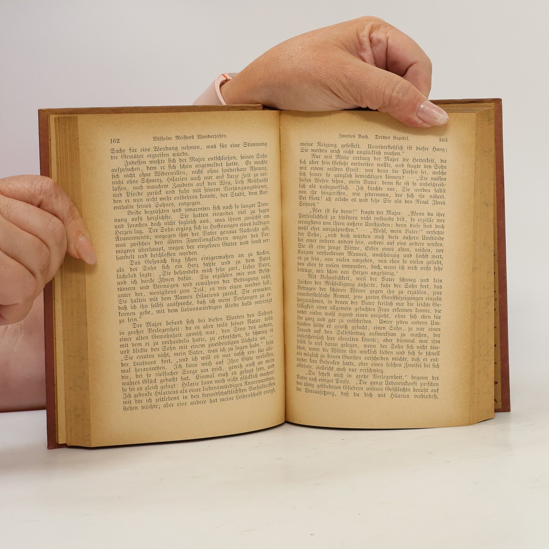 Johann Wolfgang von Goethe Goethes sämtliche Werke 18