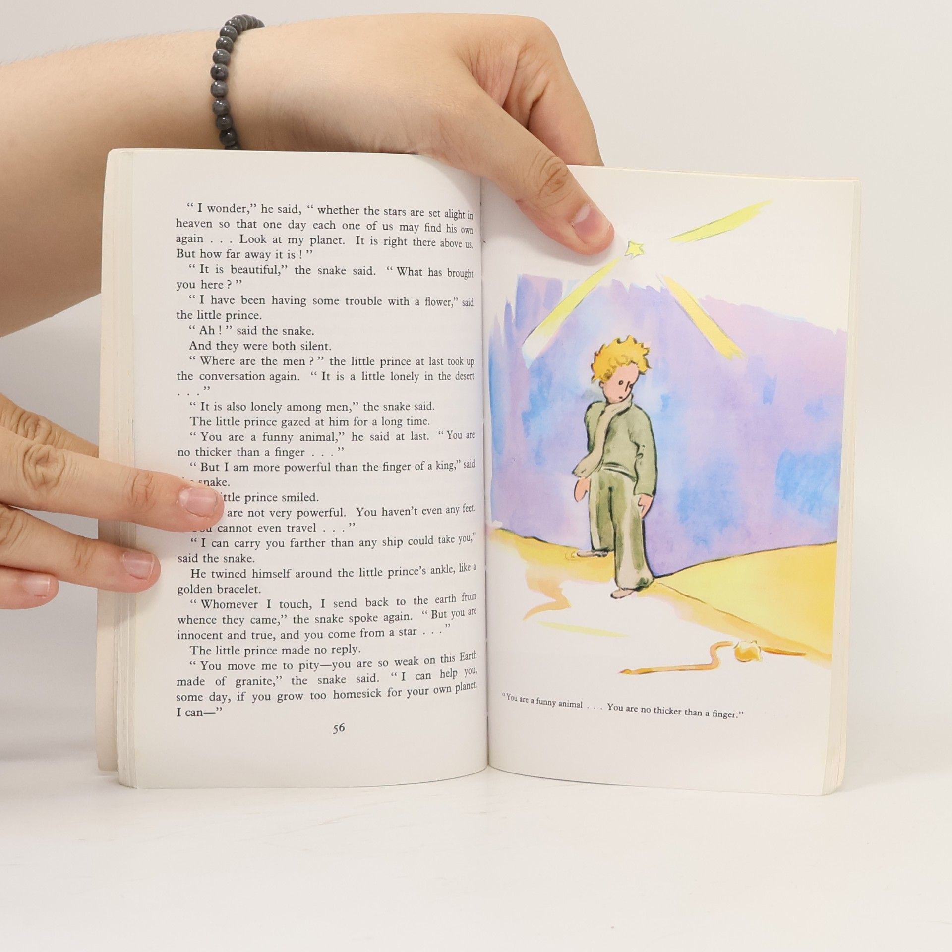 Katherine Woods The Little Prince