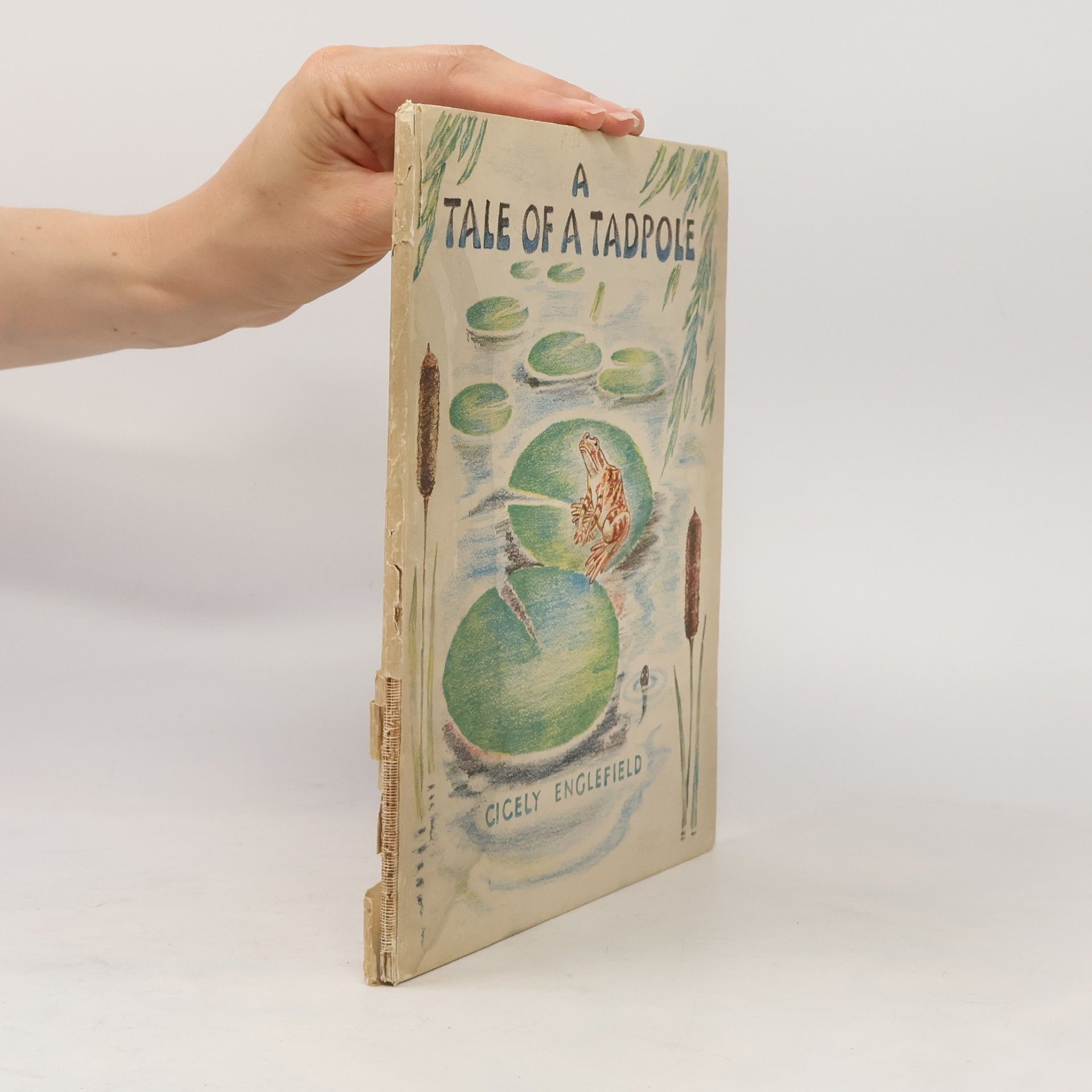 Cicely Englefield A Tale of a Tadpole