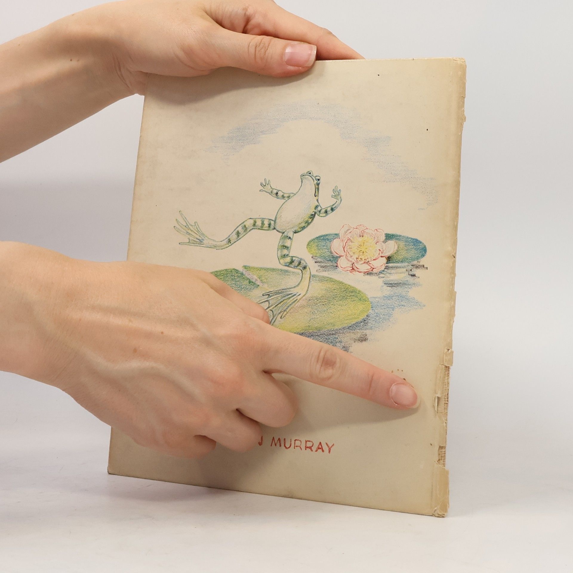 Cicely Englefield A Tale of a Tadpole