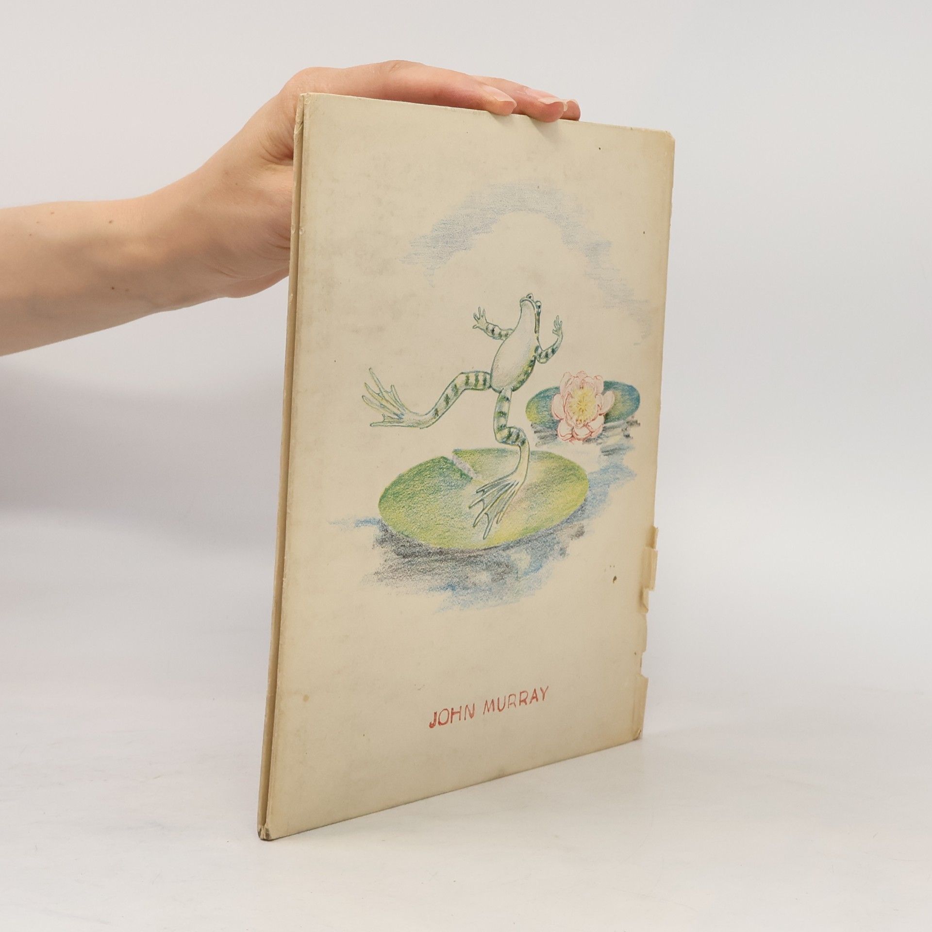 Cicely Englefield A Tale of a Tadpole