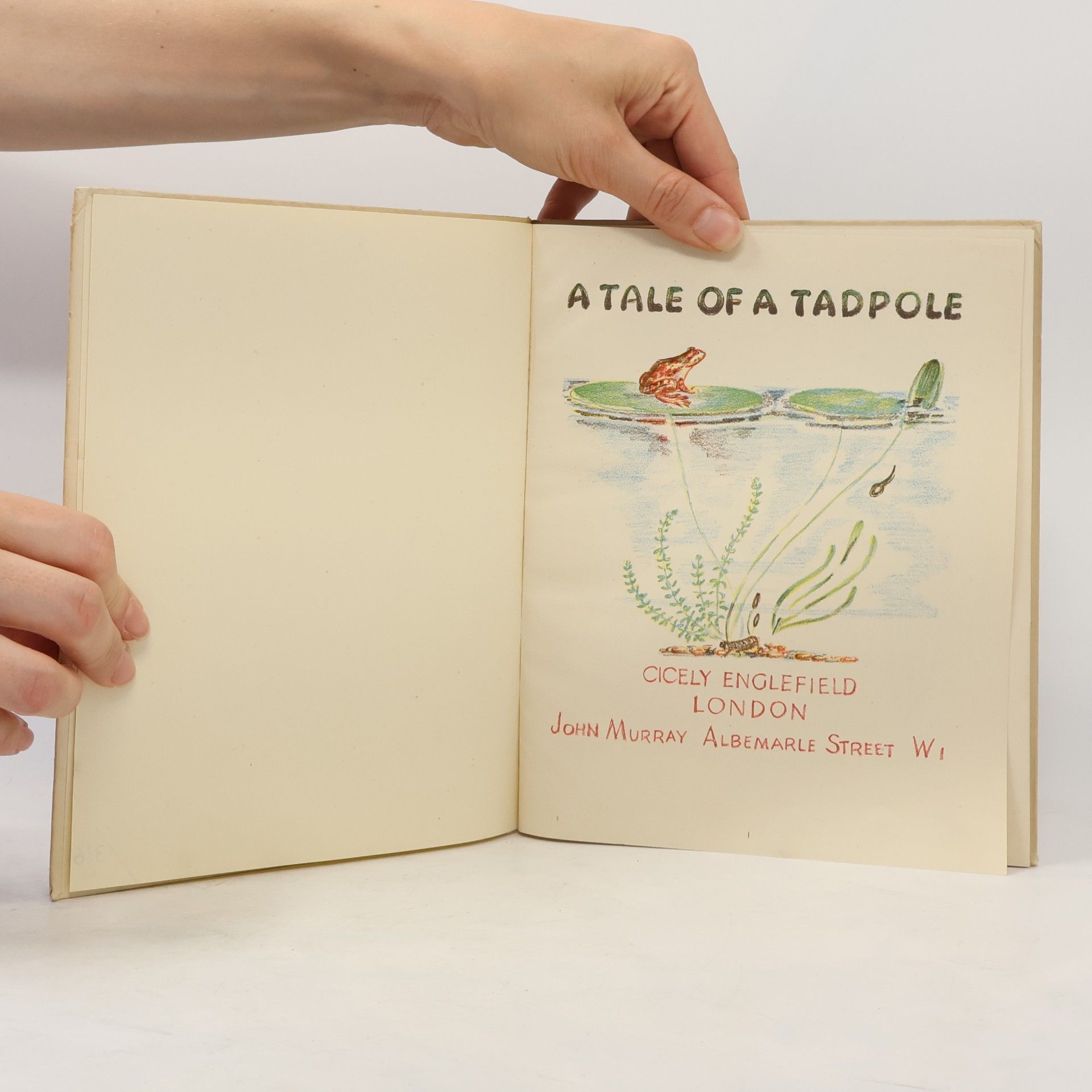 Cicely Englefield A Tale of a Tadpole