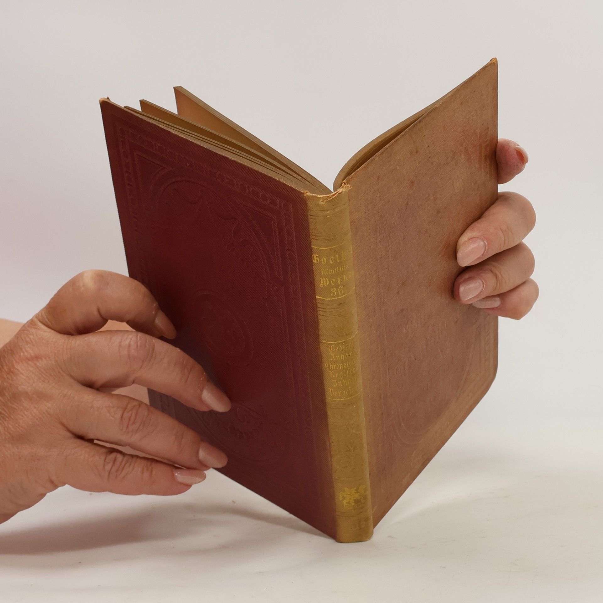 Johann Wolfgang von Goethe Goethes sämtliche Werke 36.