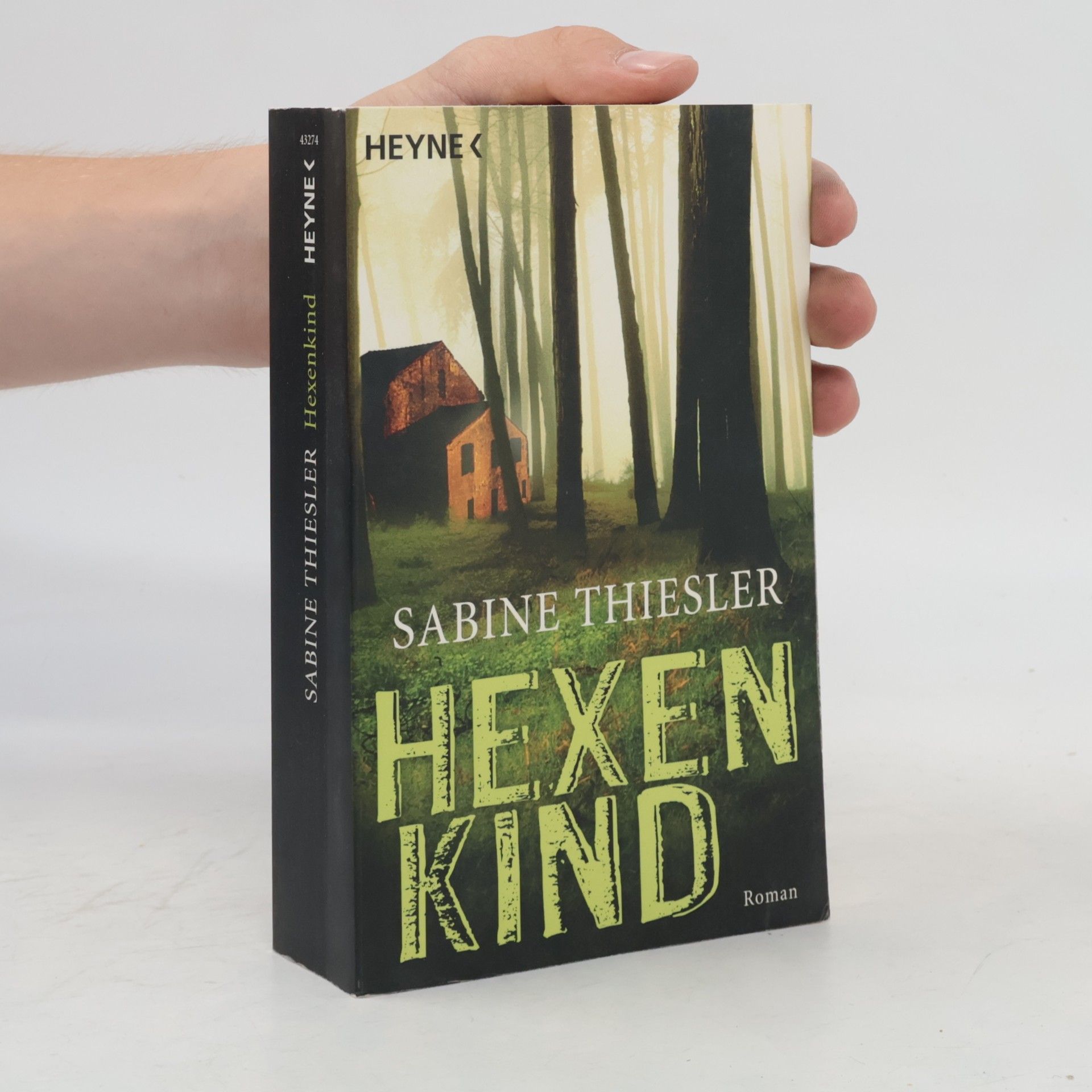Sabine Thiesler Hexenkind - Roman