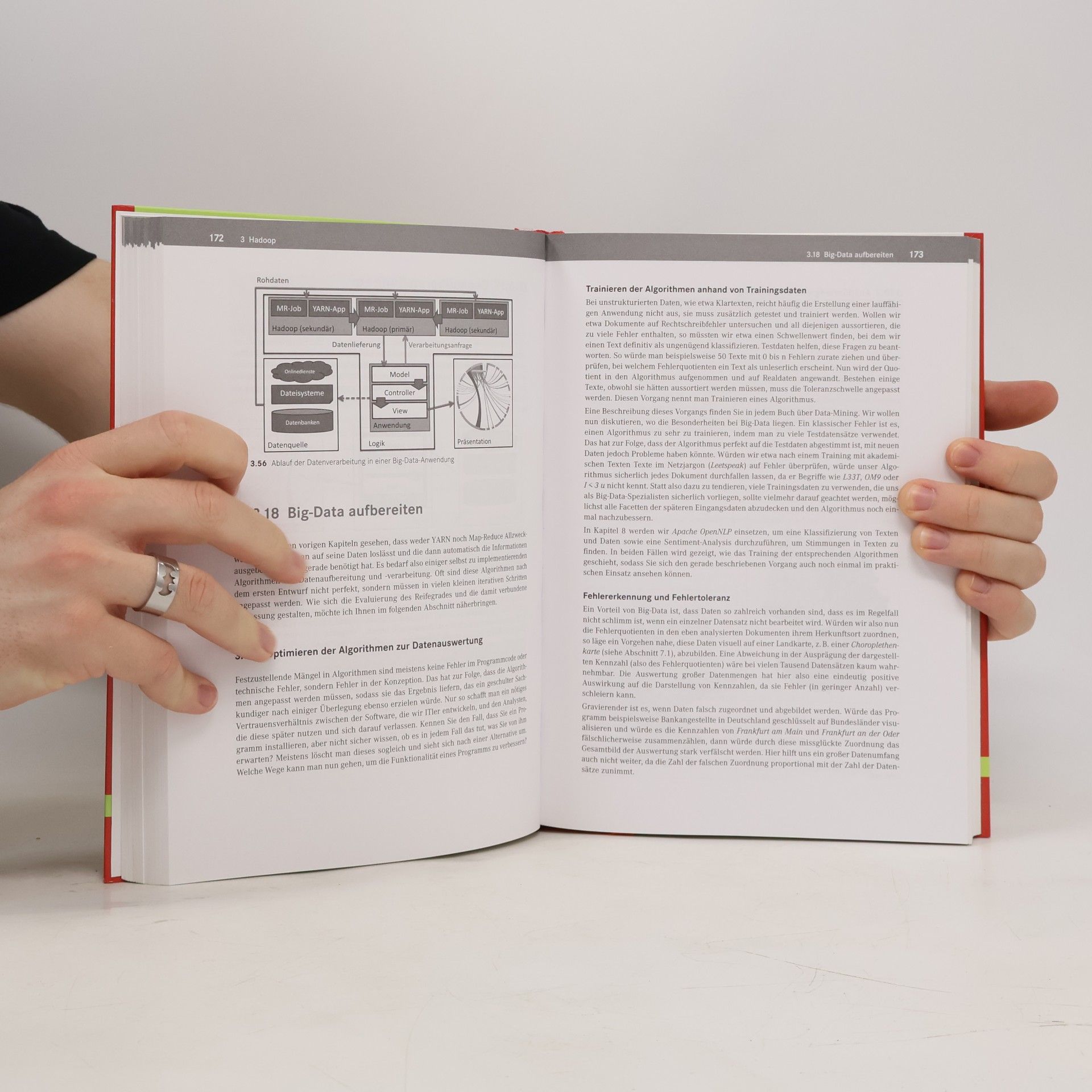 Jonas Freiknecht Big Data in der Praxis