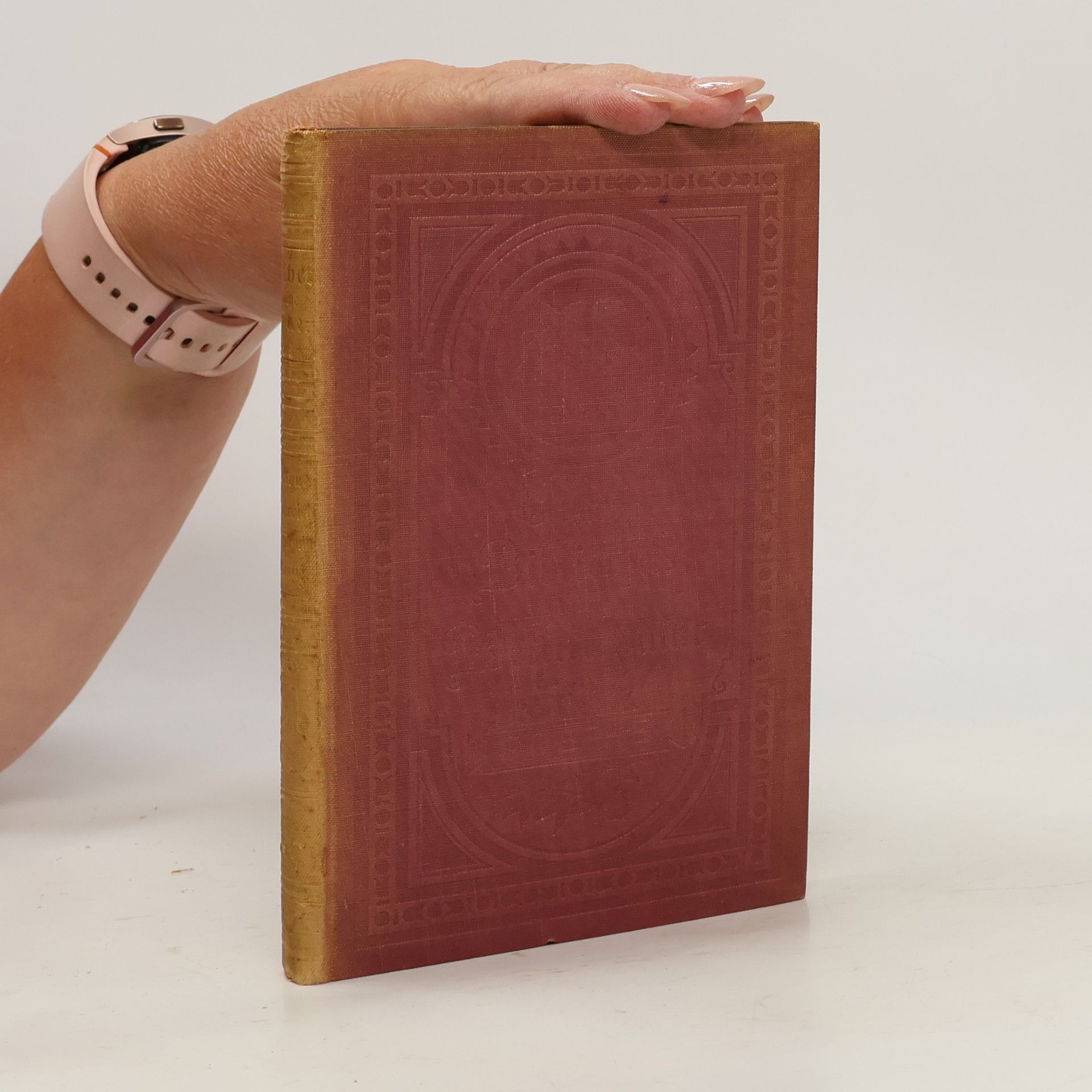Johann Wolfgang von Goethe Goethes sämtliche Werke 24