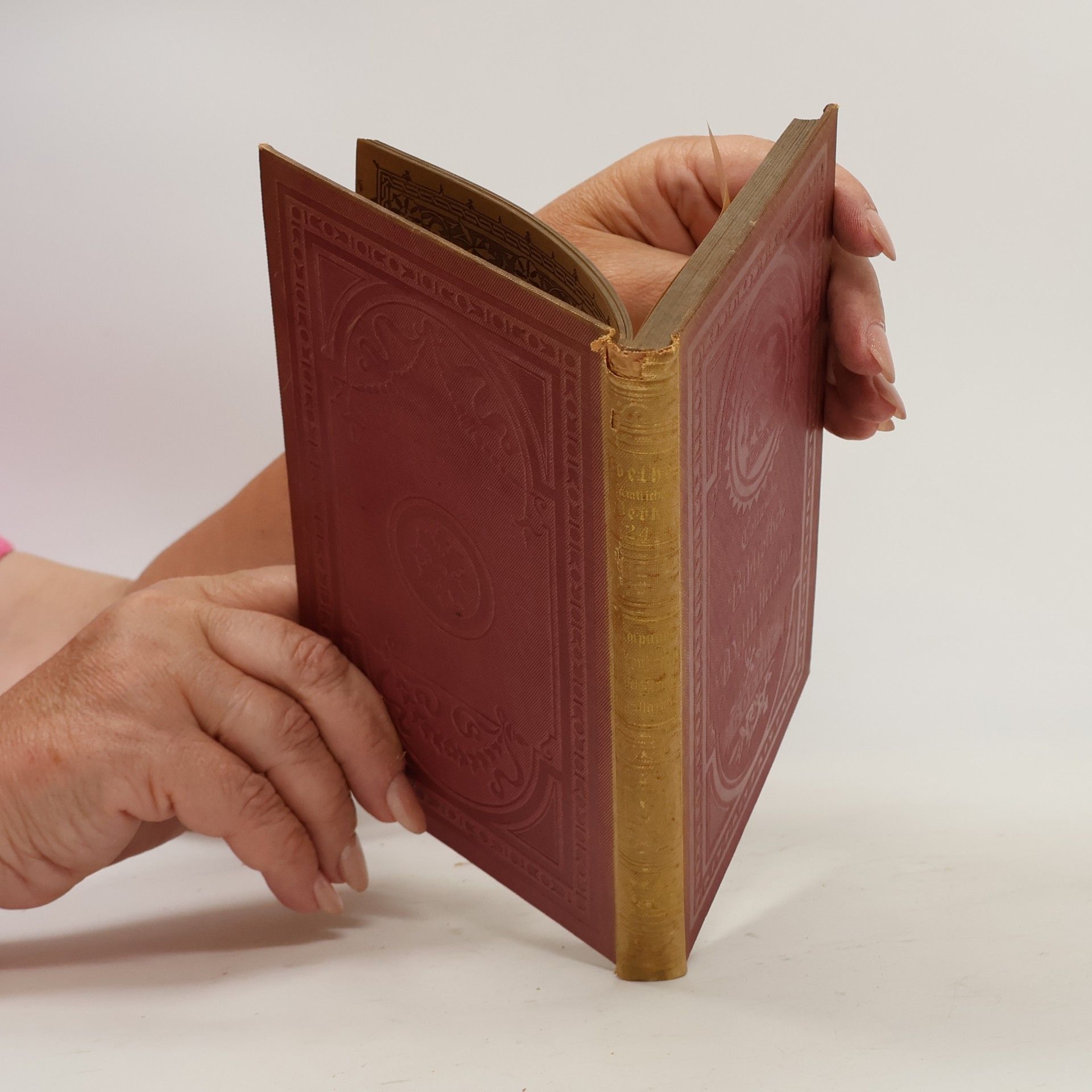 Johann Wolfgang von Goethe Goethes sämtliche Werke 24