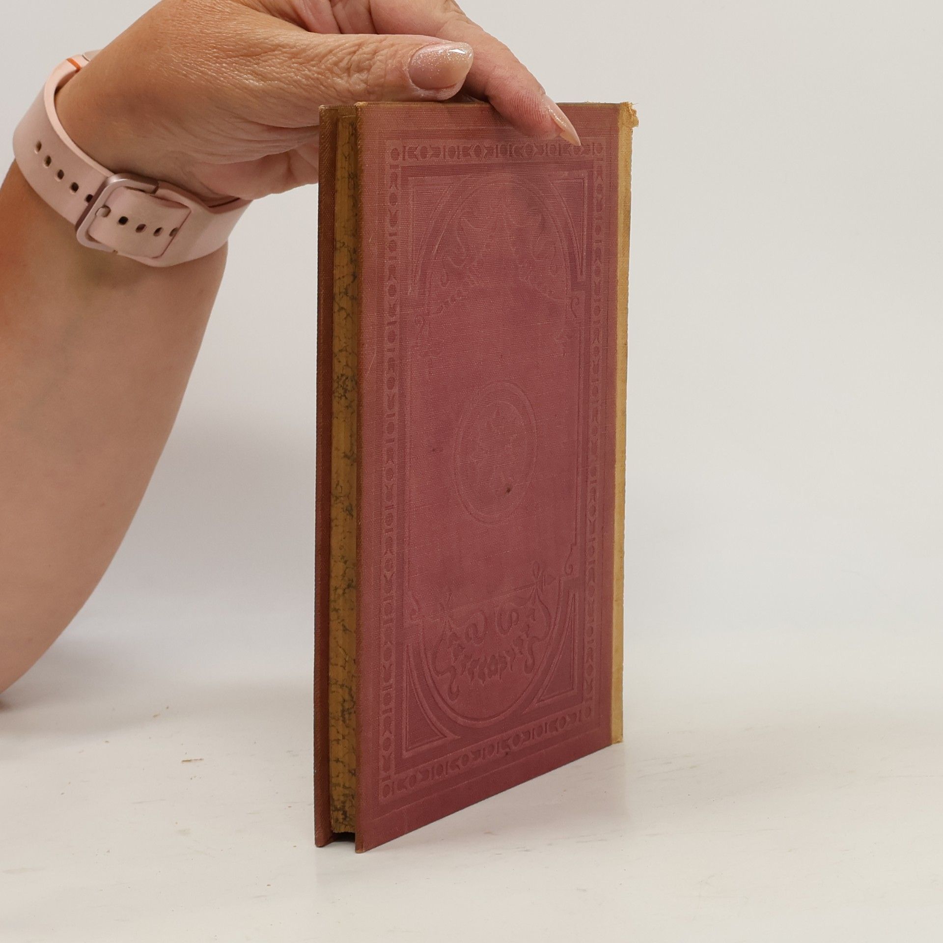 Johann Wolfgang von Goethe Goethes sämtliche Werke 24