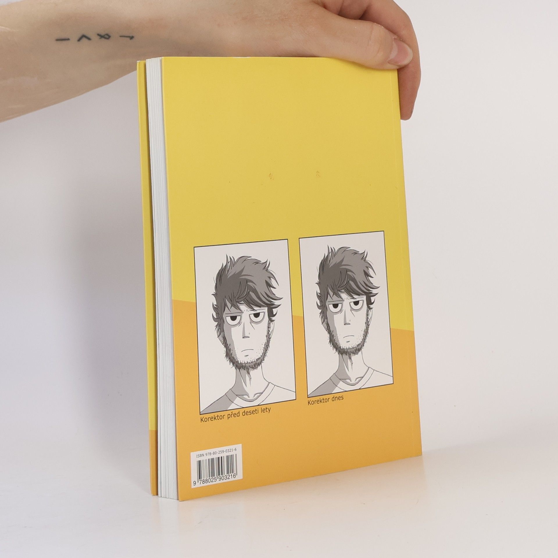 Vilém Koubek Korektor: Komiks o chybách a o životě
