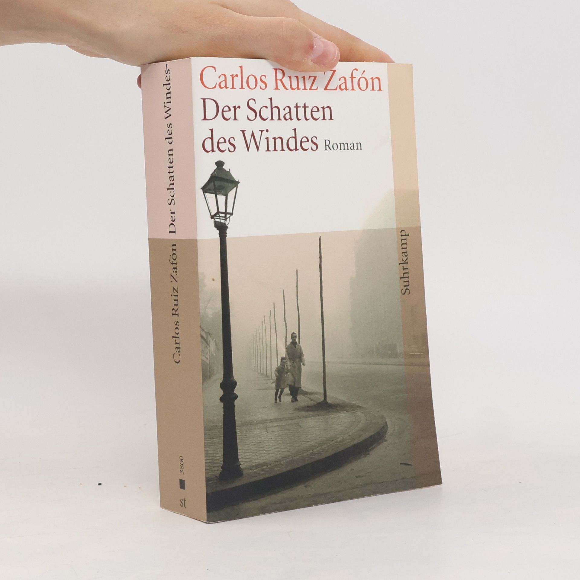Carlos Ruiz Zafón Der Schatten des Windes