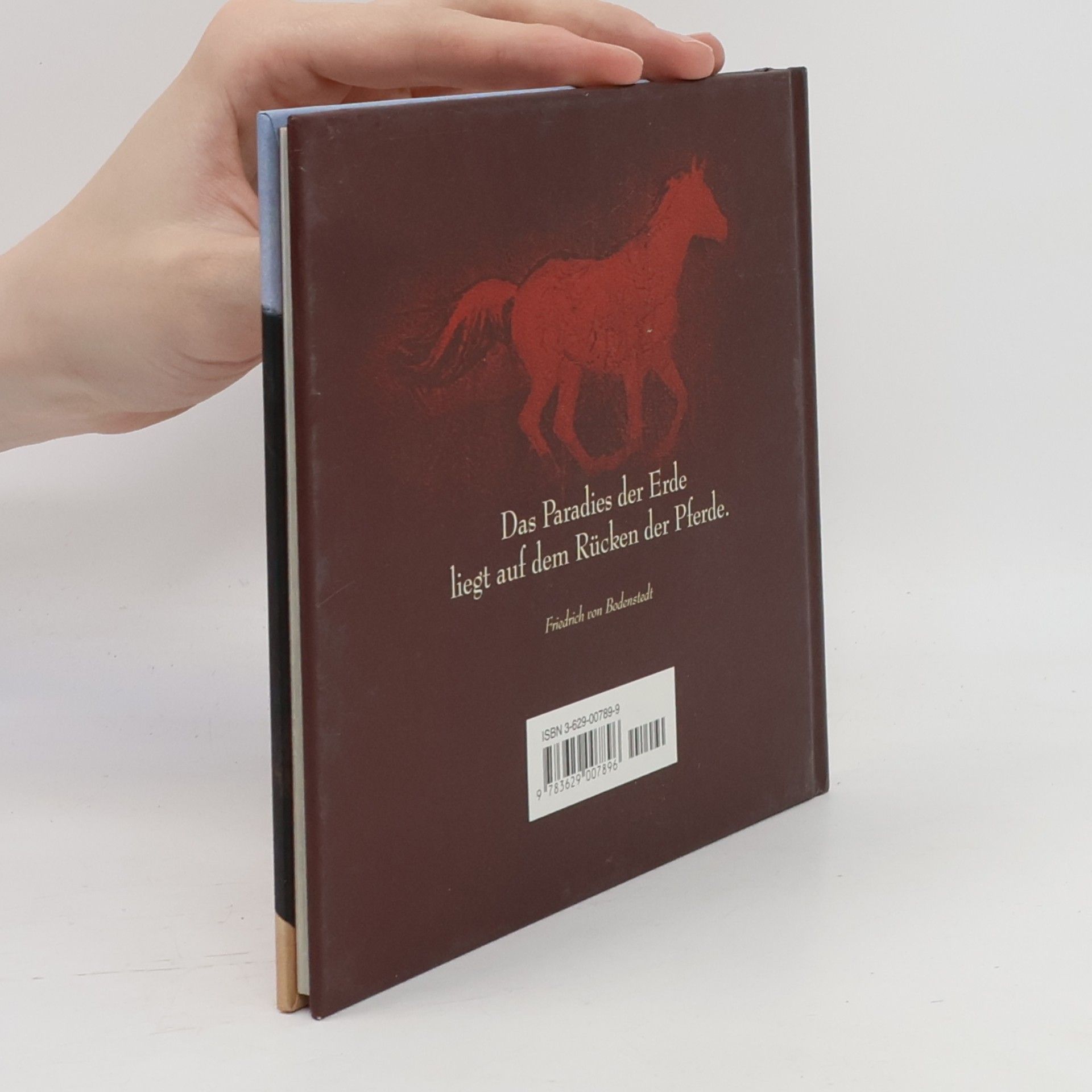Collectif d'auteurs Ein Herz für Pferde