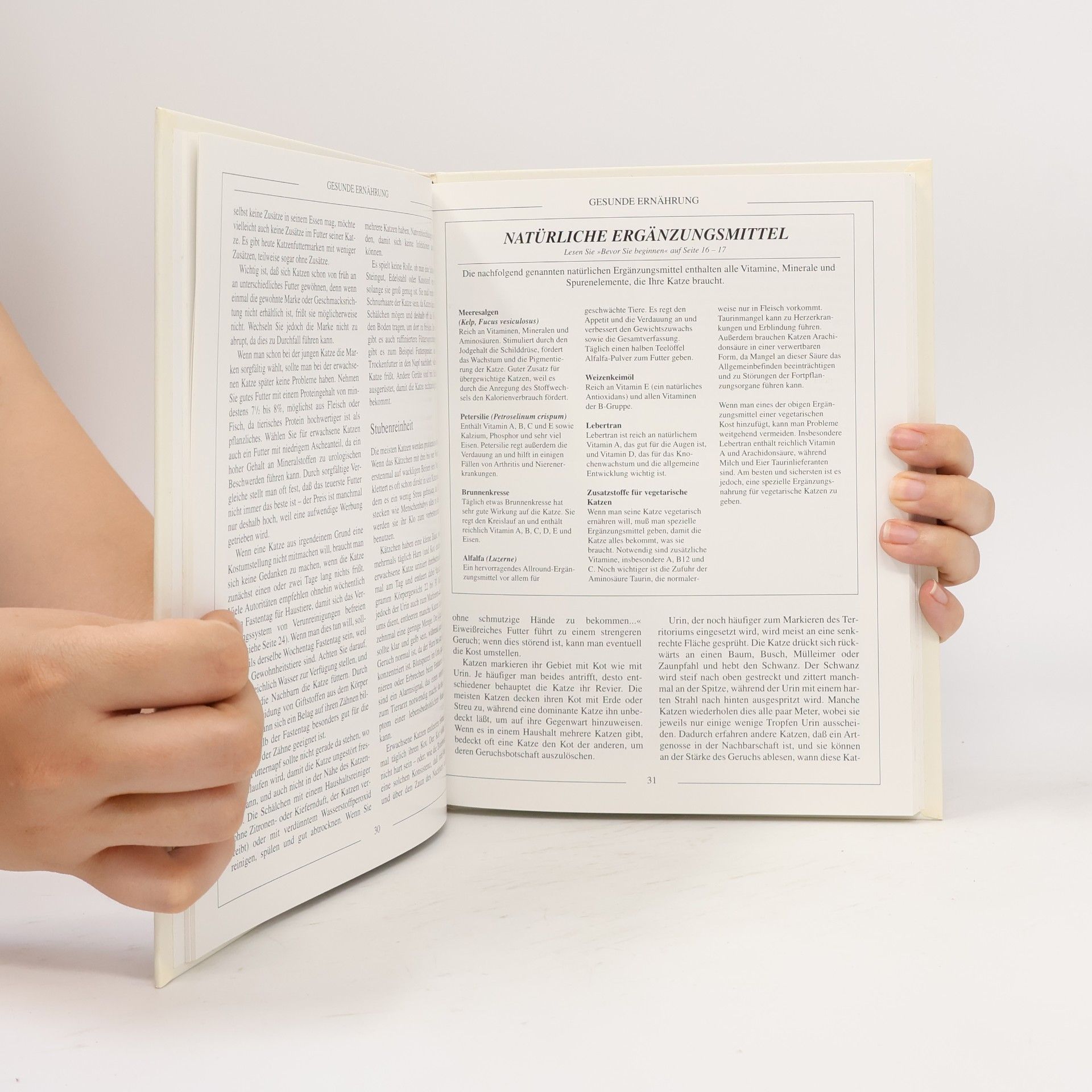 Autores varios Die gesunde Katze