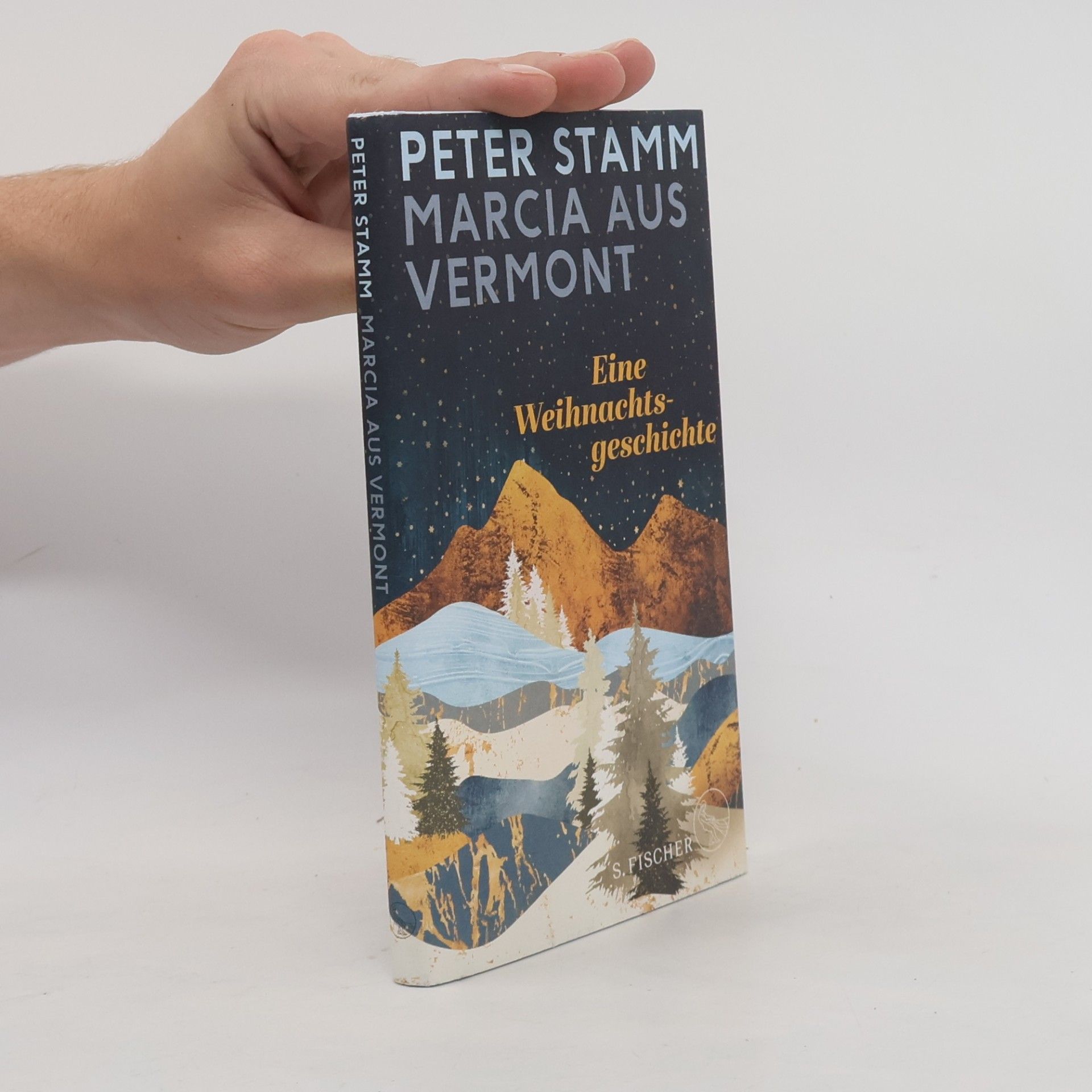 Peter Stamm Marcia aus Vermont
