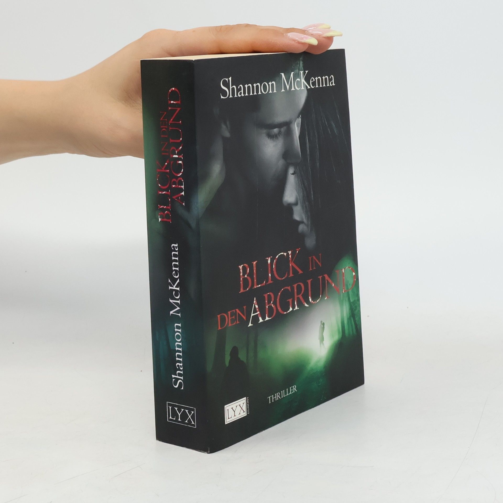 Shannon McKenna Blick in den Abgrund