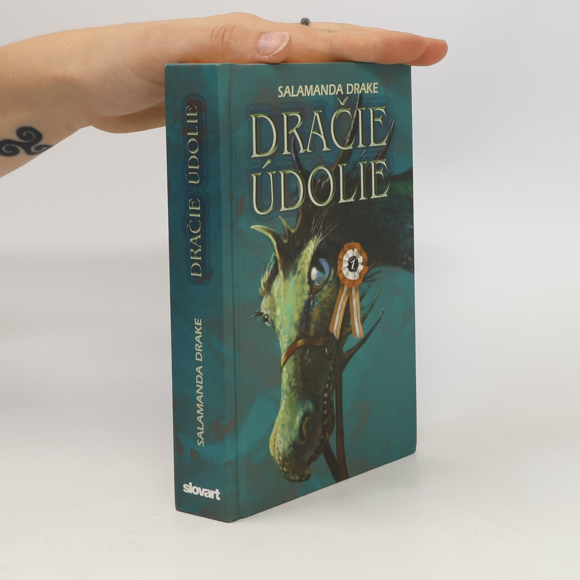 Steve Skidmore Dračie údolie