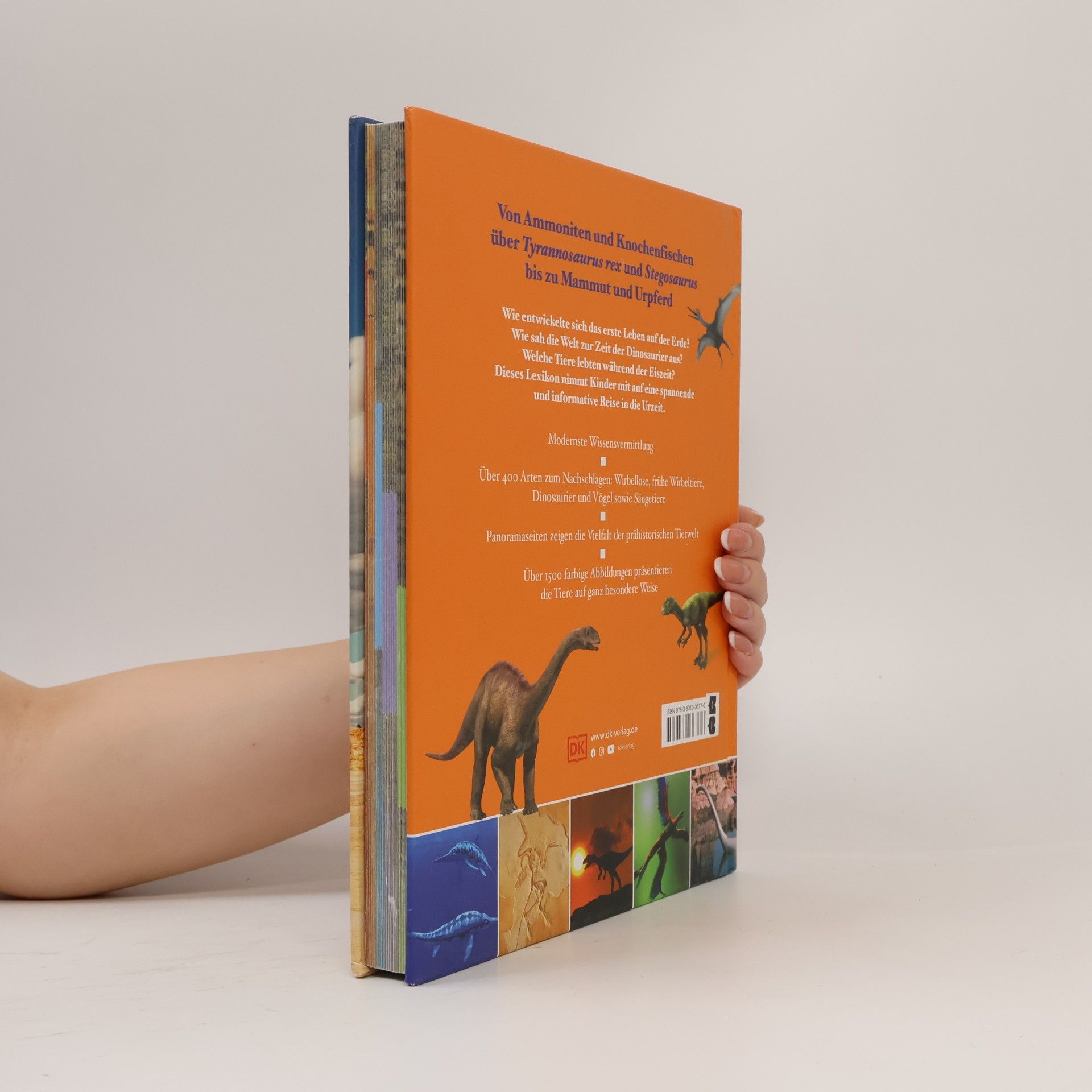 Eva Sixt Dinosaurier und andere Tiere der Urzeit für clevere Kids