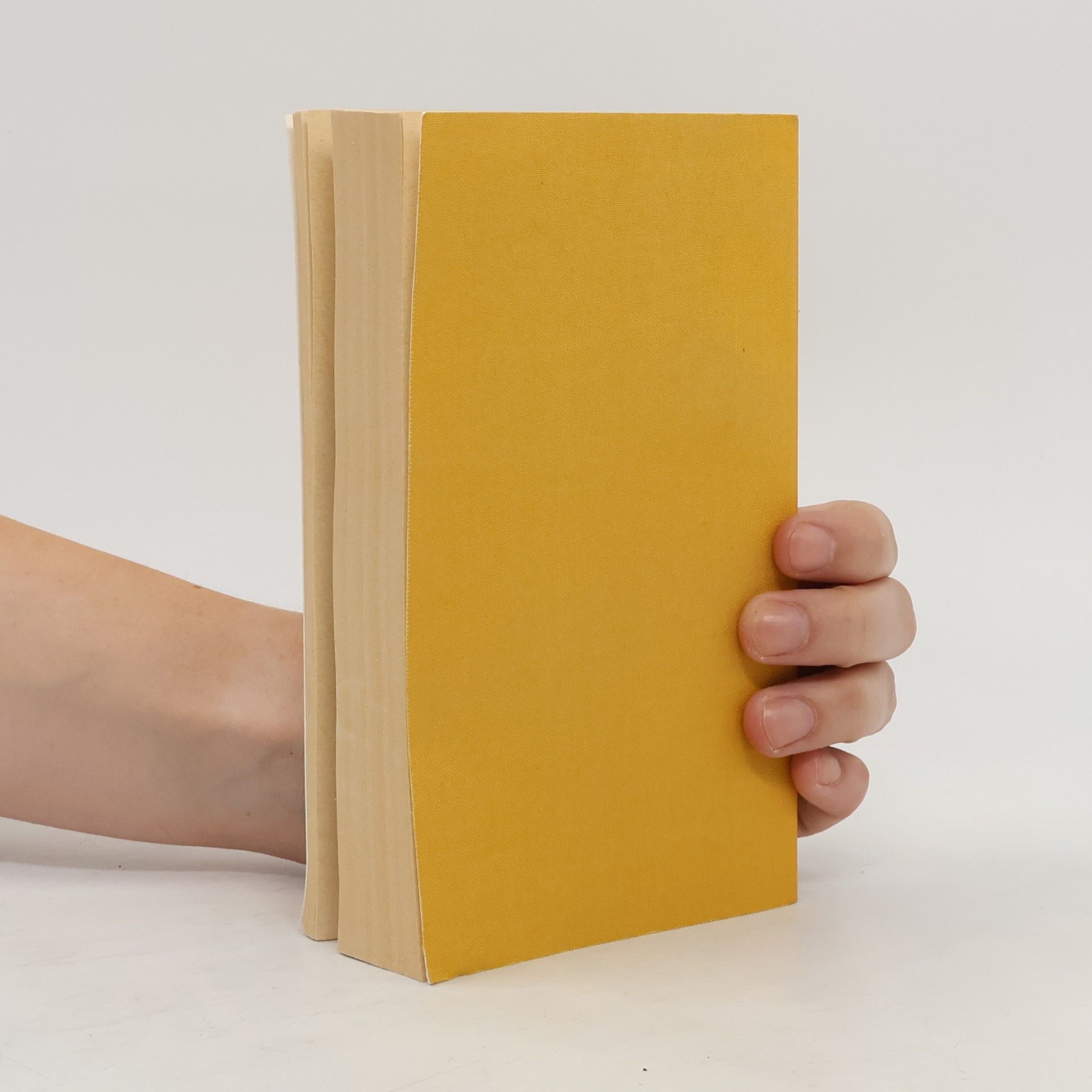 Hermann Hesse Gesammelte Werke 6