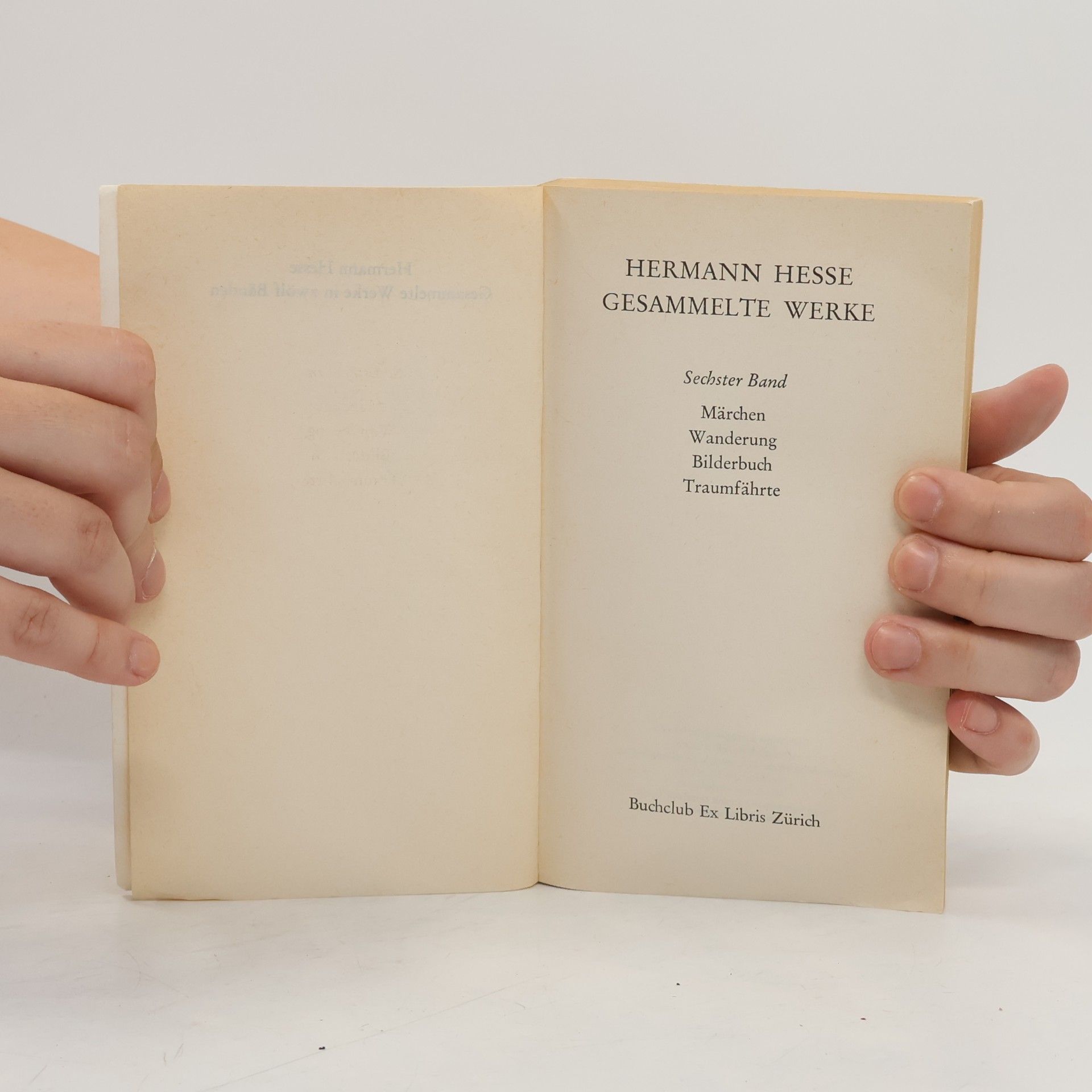 Hermann Hesse Gesammelte Werke 6