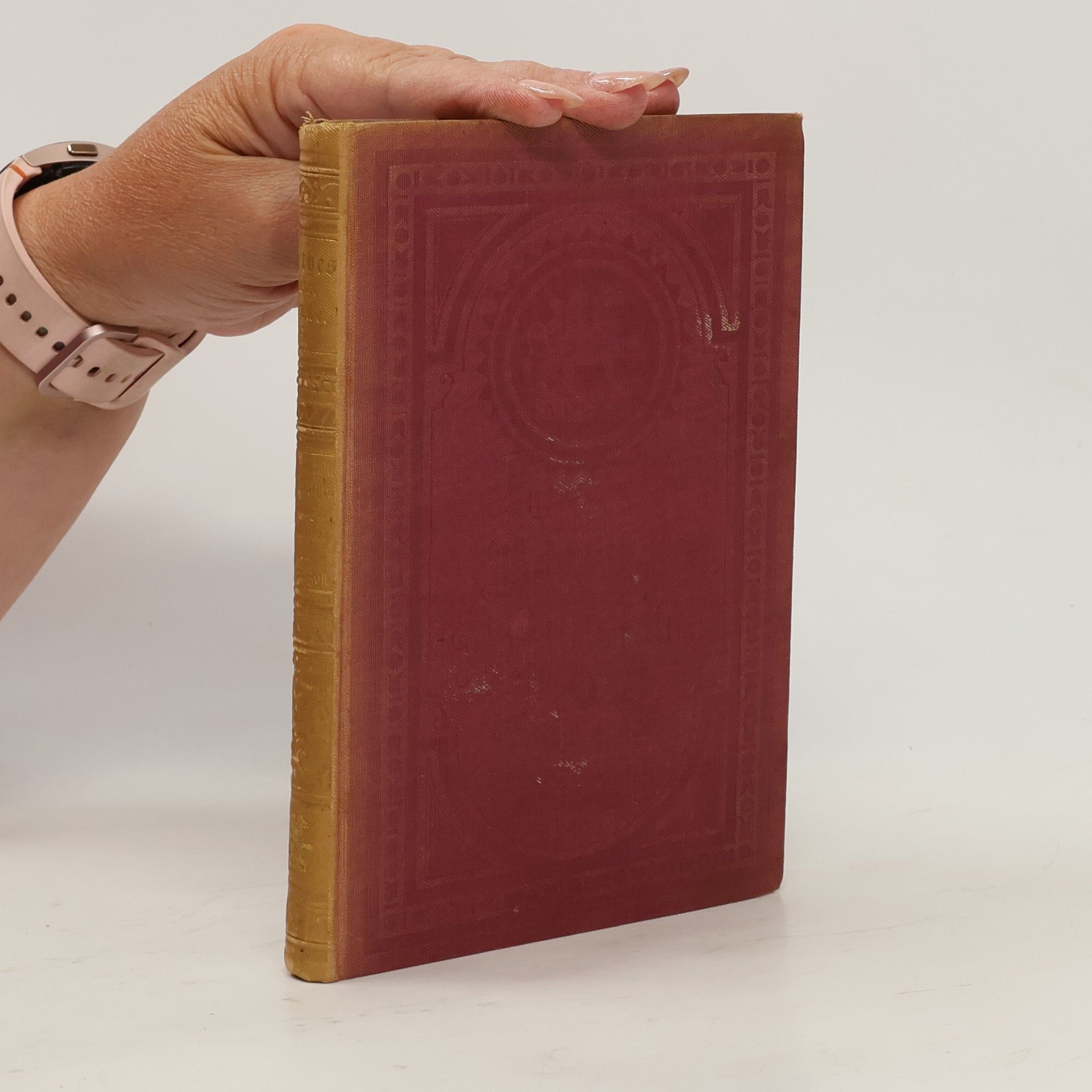 Johann Wolfgang von Goethe Goethes sämtliche Werke 15