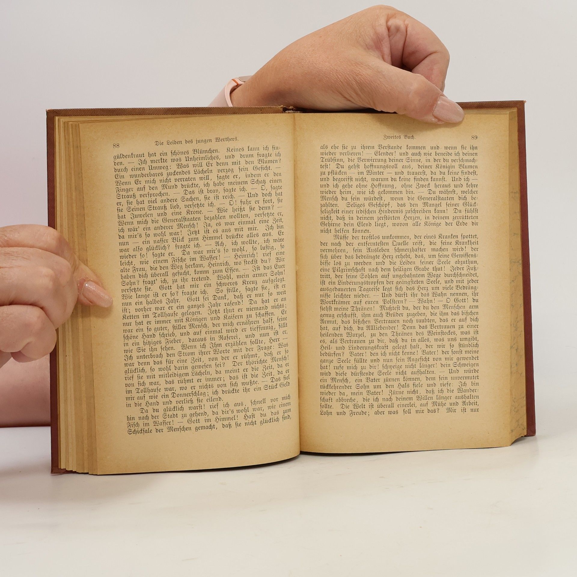 Johann Wolfgang von Goethe Goethes sämtliche Werke 15